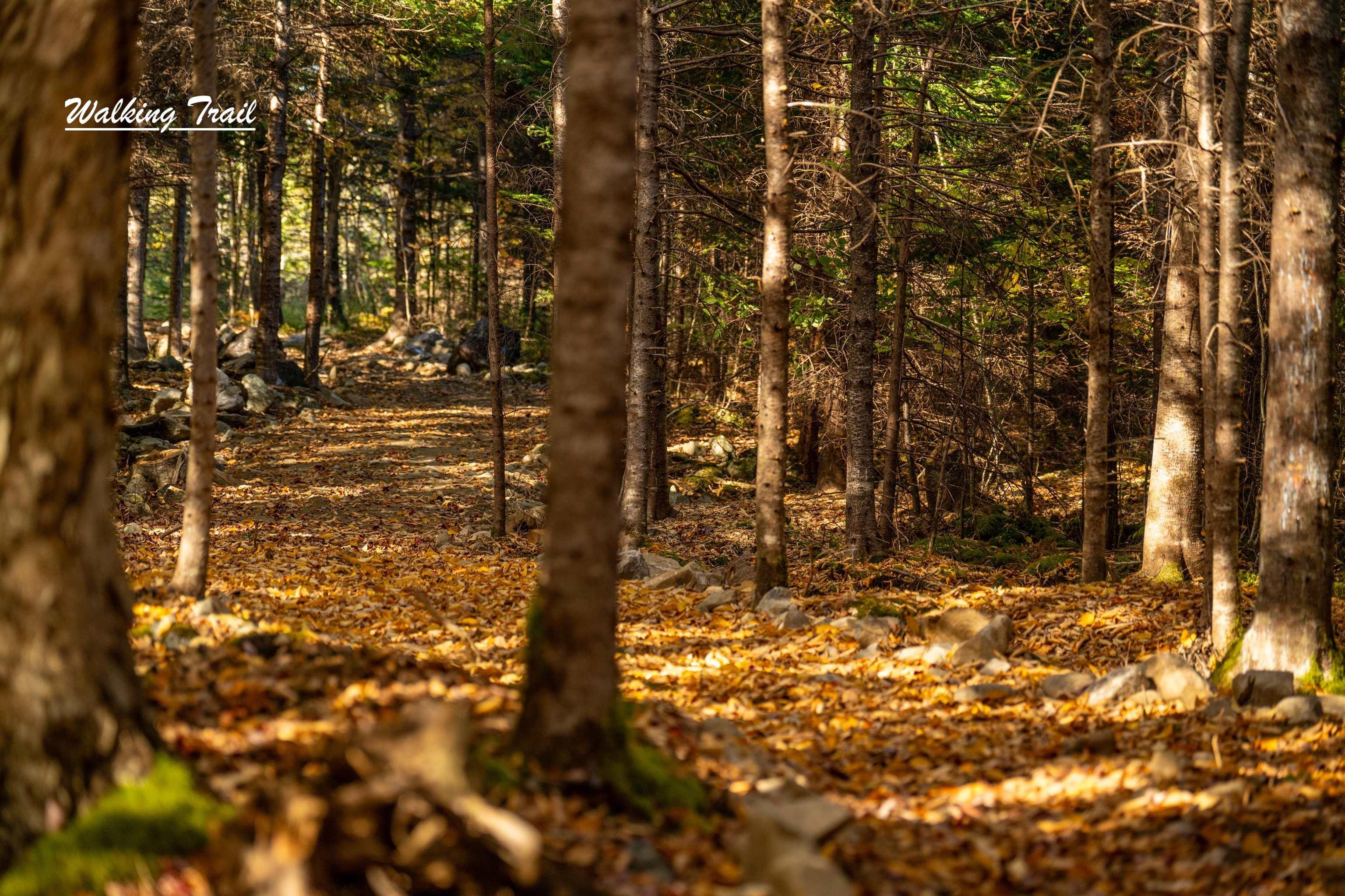 $88,000.00: Lot 12 Croft Road, Chester Basin