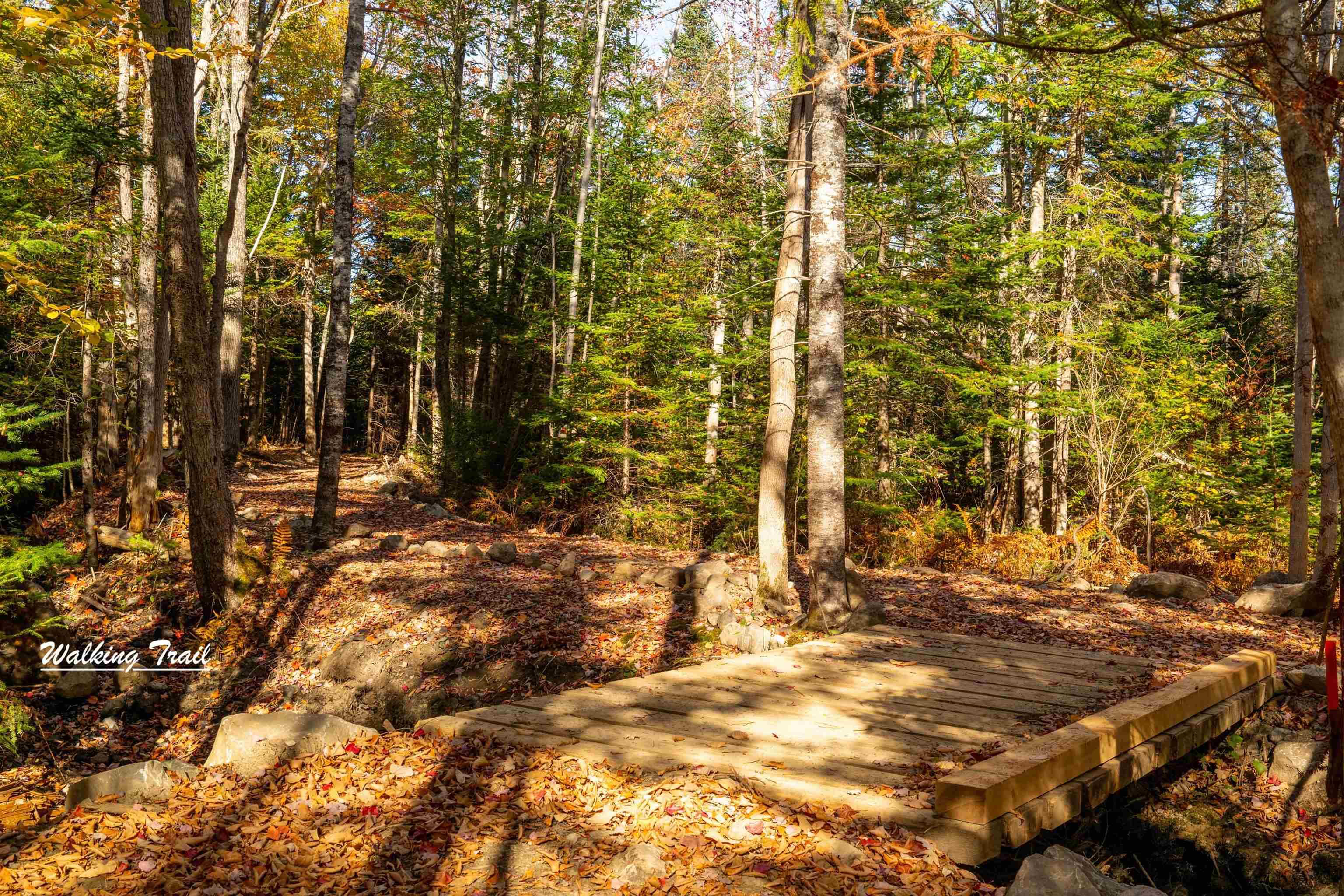 $88,000.00: Lot 12 Croft Road, Chester Basin