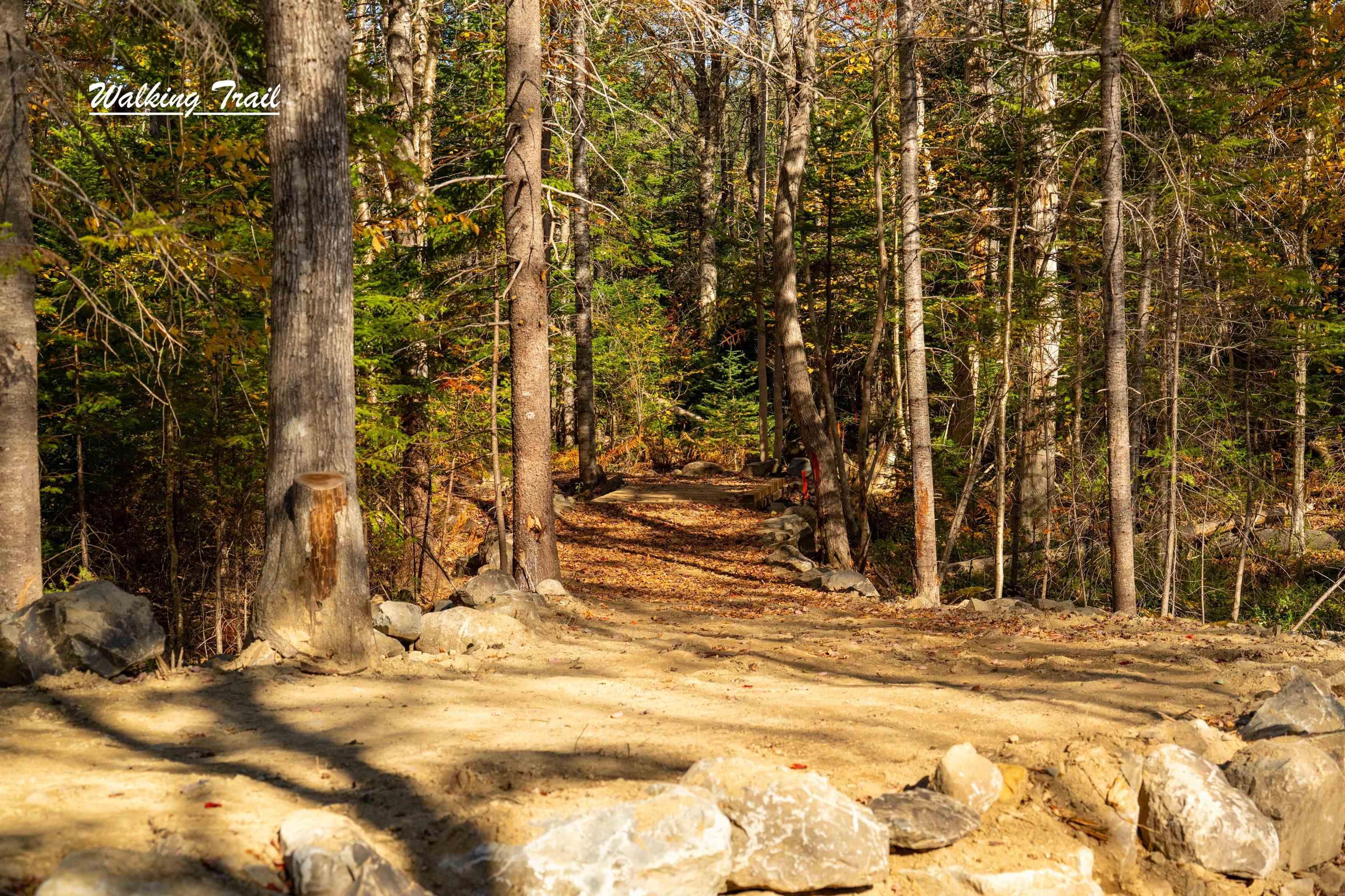 $88,000.00: Lot 12 Croft Road, Chester Basin