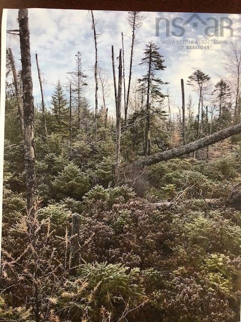 $150,000.00: 3 Cloverdale Road, Birch Hill