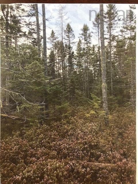 $150,000.00: 3 Cloverdale Road, Birch Hill