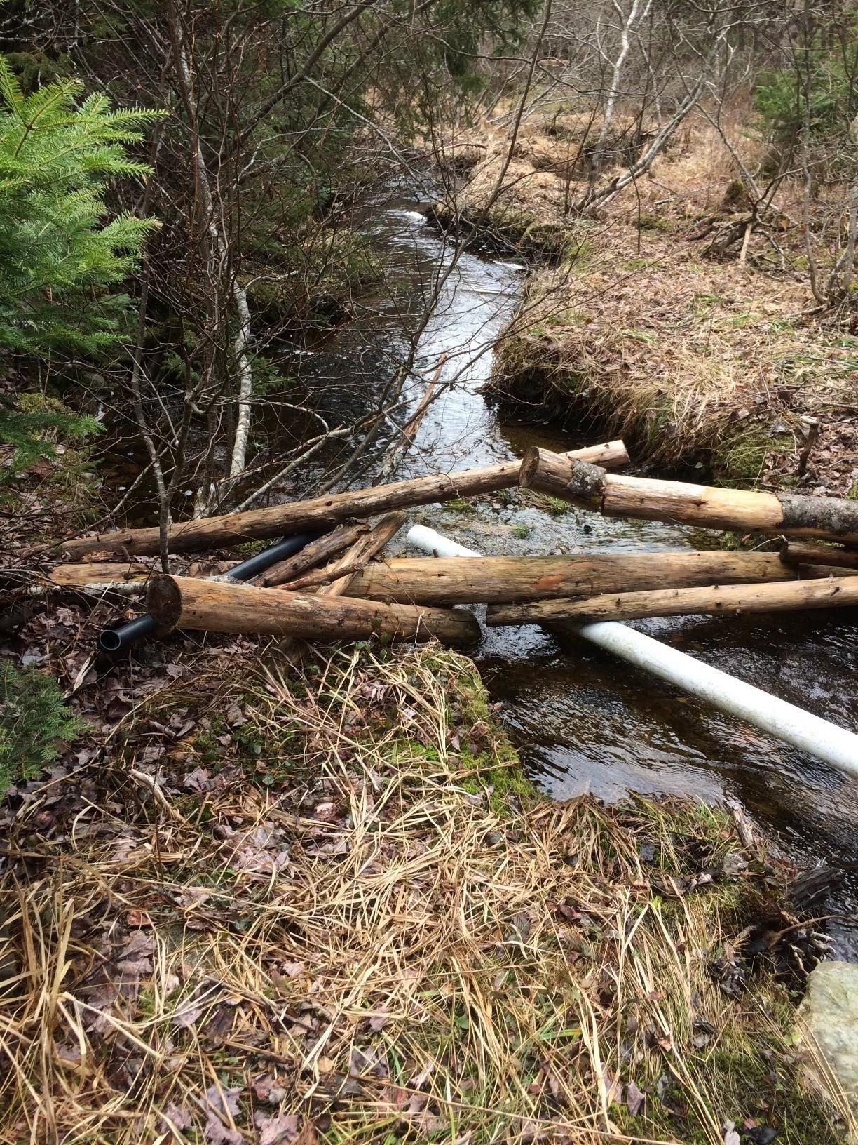 $97,500.00: 409 Highway 224, Sheet Harbour