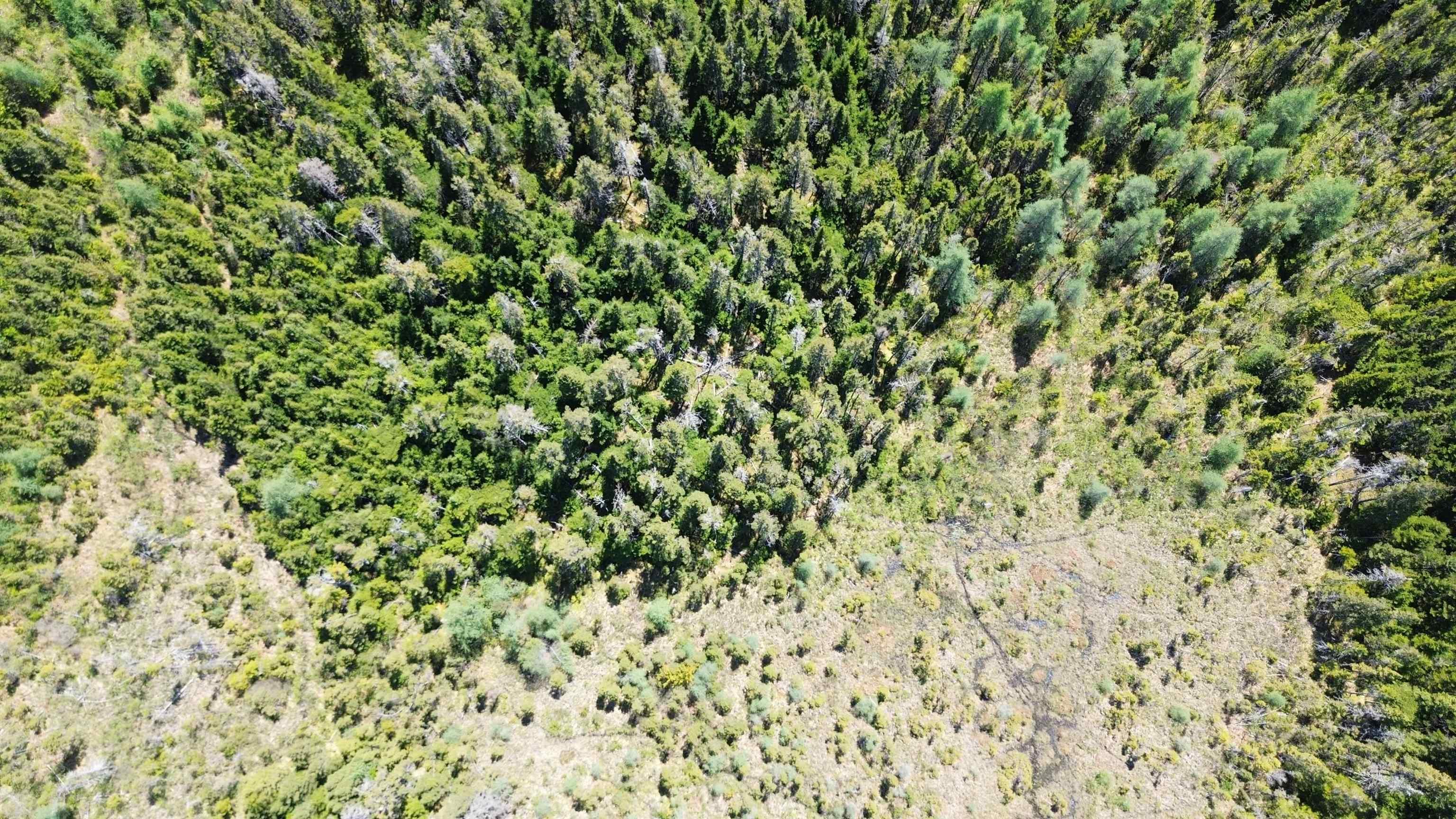 $43,500.00: 320 Highway, D