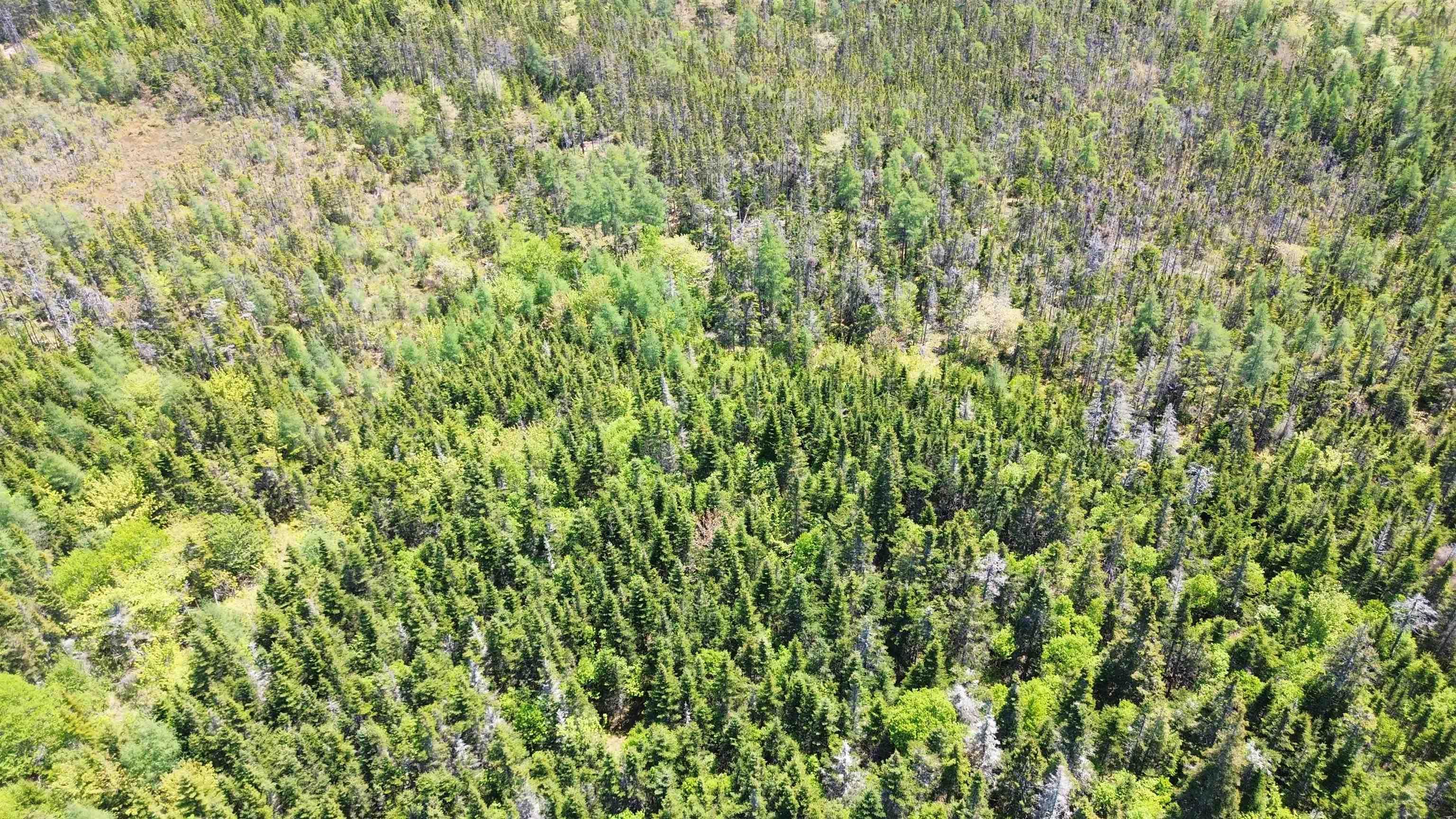 $29,500.00: 320 Highway, D