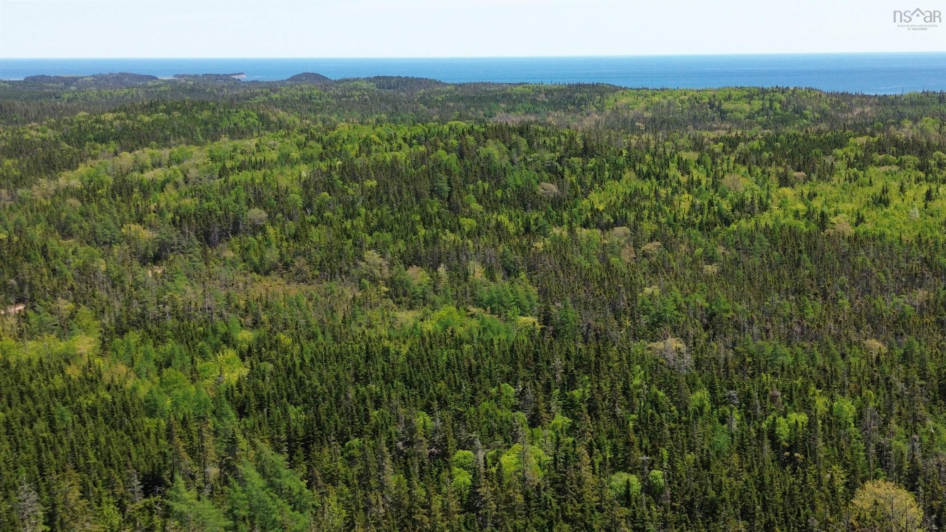 $29,500.00: 320 Highway, D