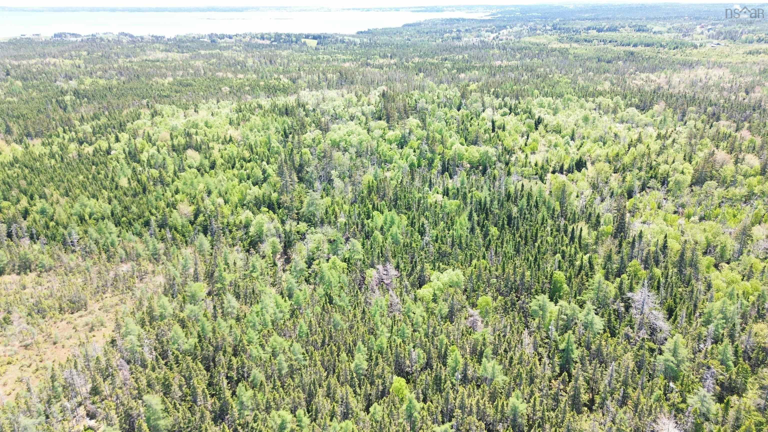 $35,000.00: 320 Highway, Poulamon