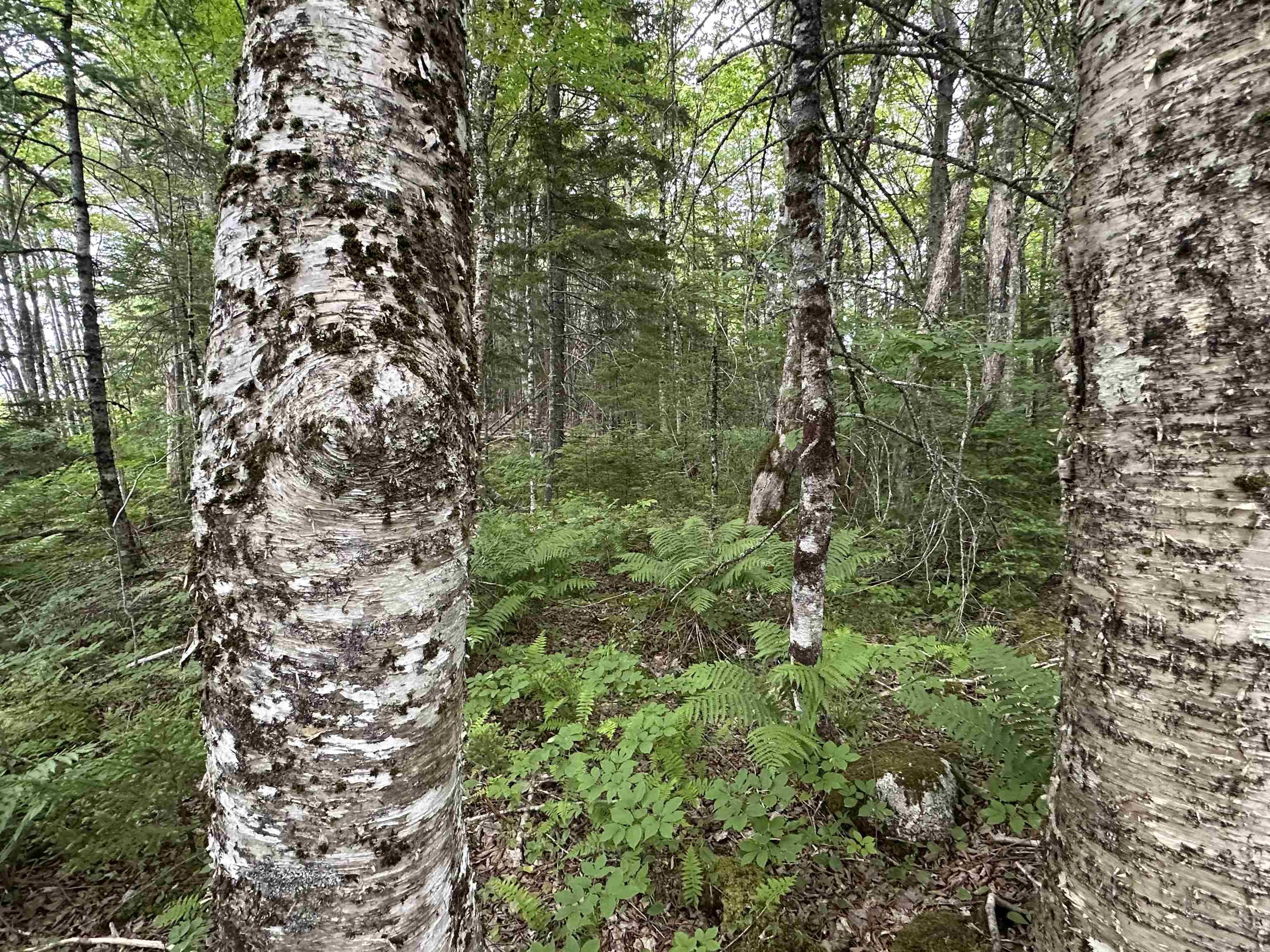 $32,500.00: Lot Old Italy Cross Road, Italy Cross