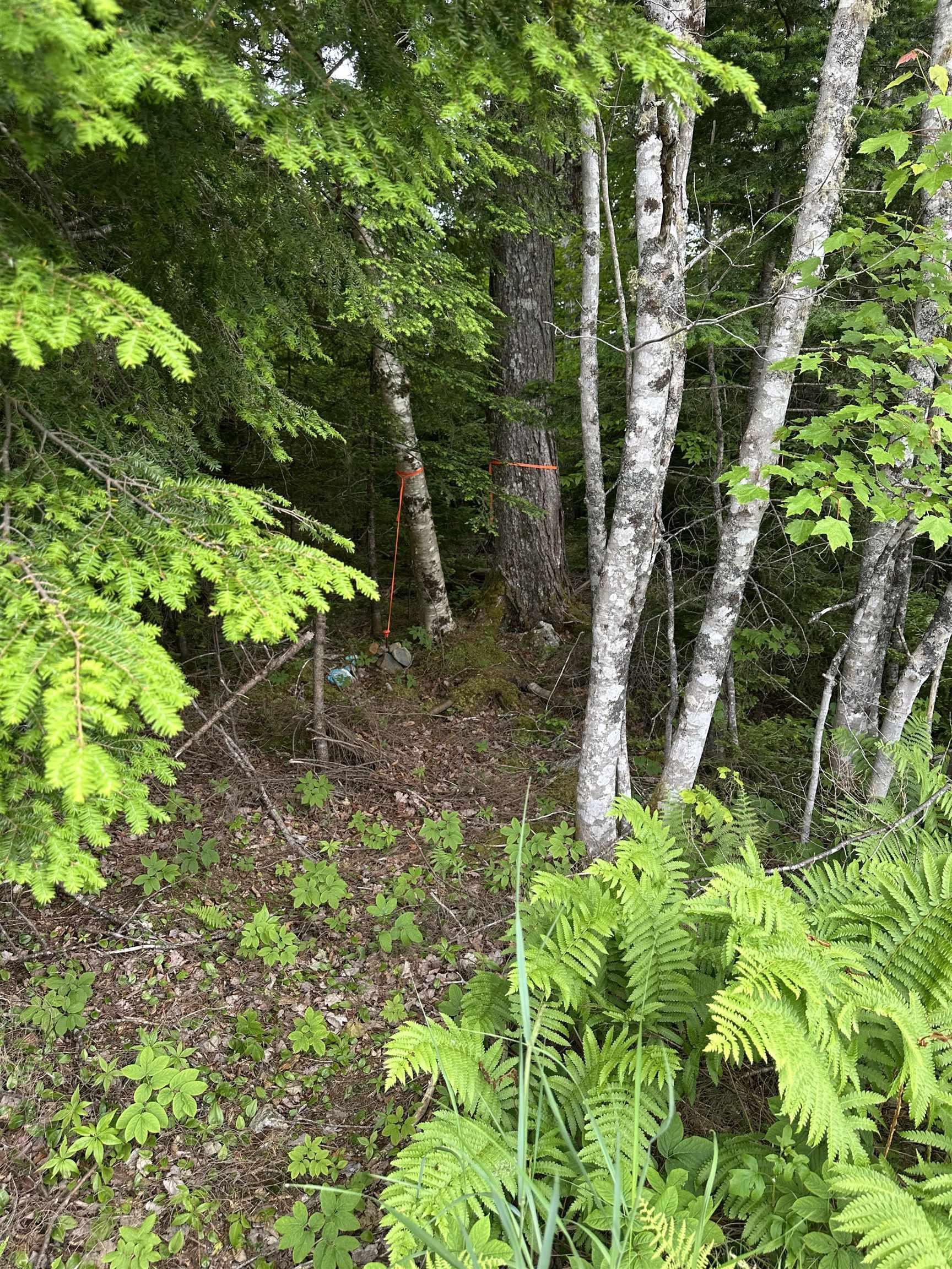 $32,500.00: Lot Old Italy Cross Road, Italy Cross