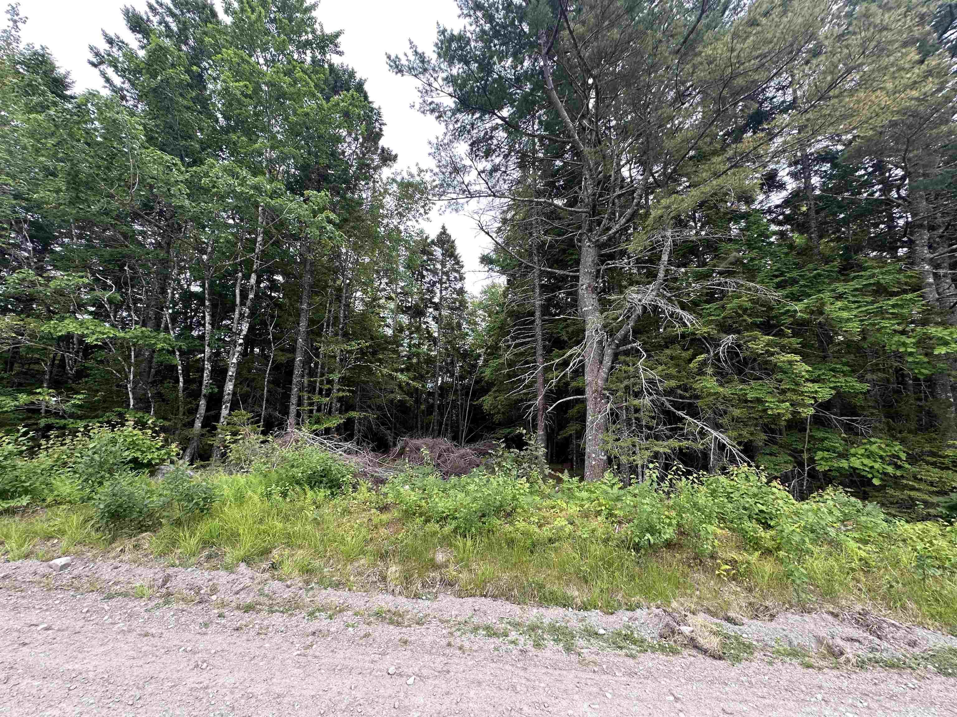 $32,500.00: Lot Old Italy Cross Road, Italy Cross