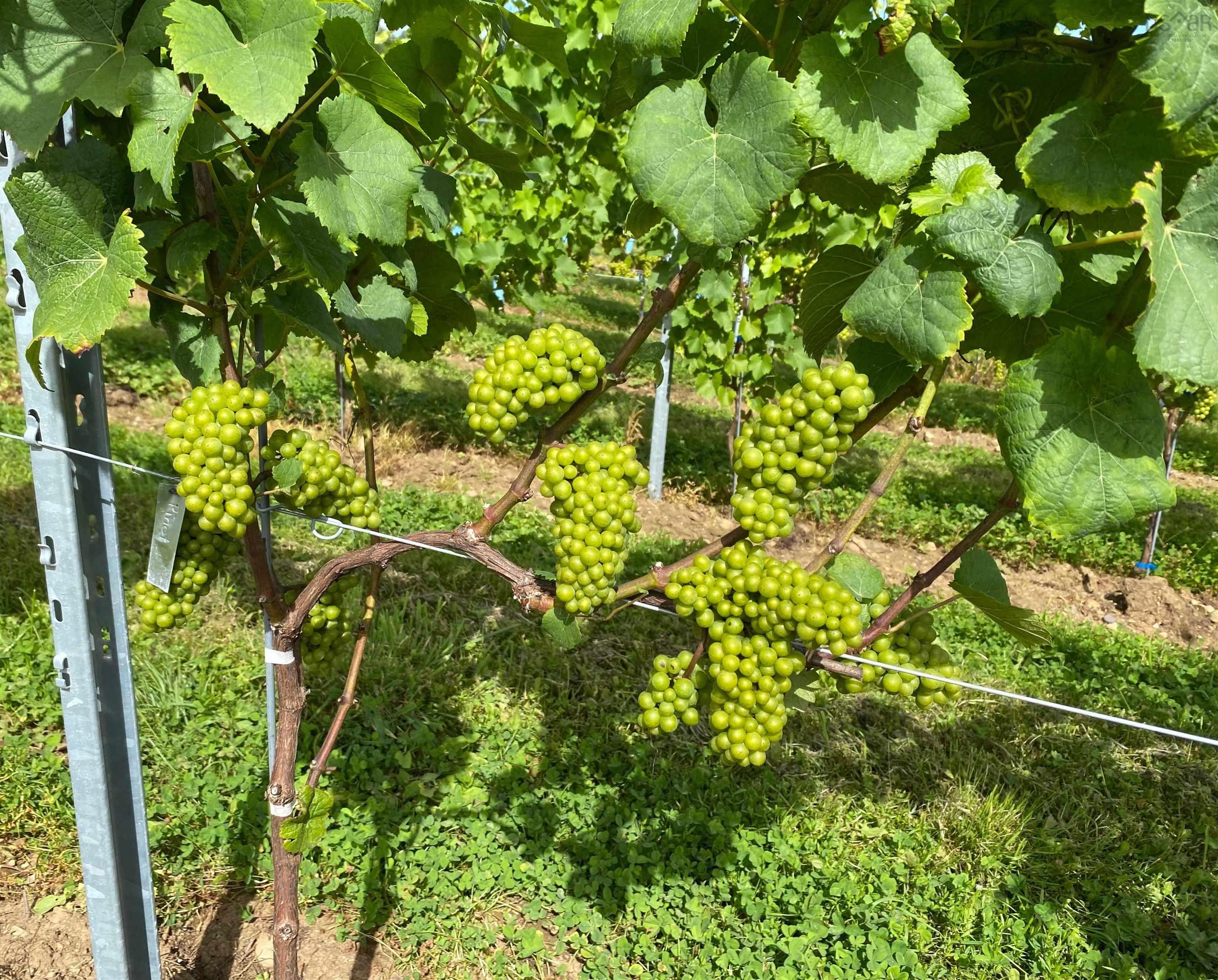 $1,490,000.00: 4113 Highway 340, Carleton