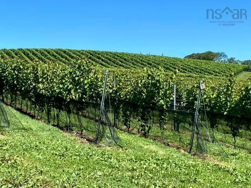 $1,490,000.00: 4113 Highway 340, Carleton