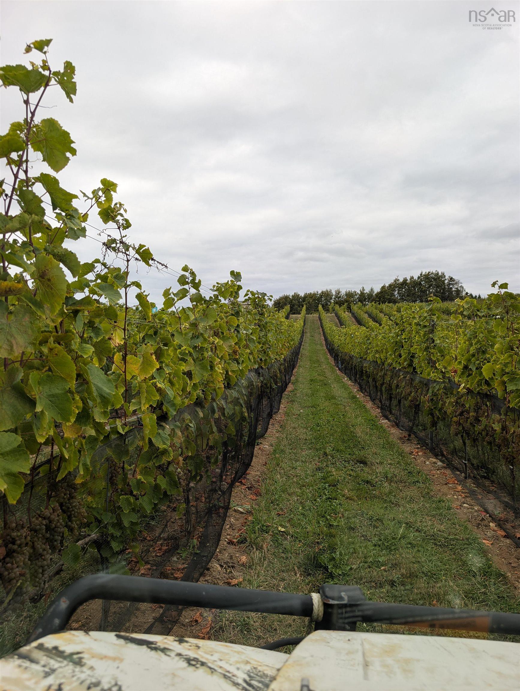 $1,490,000.00: 4113 Highway 340, Carleton