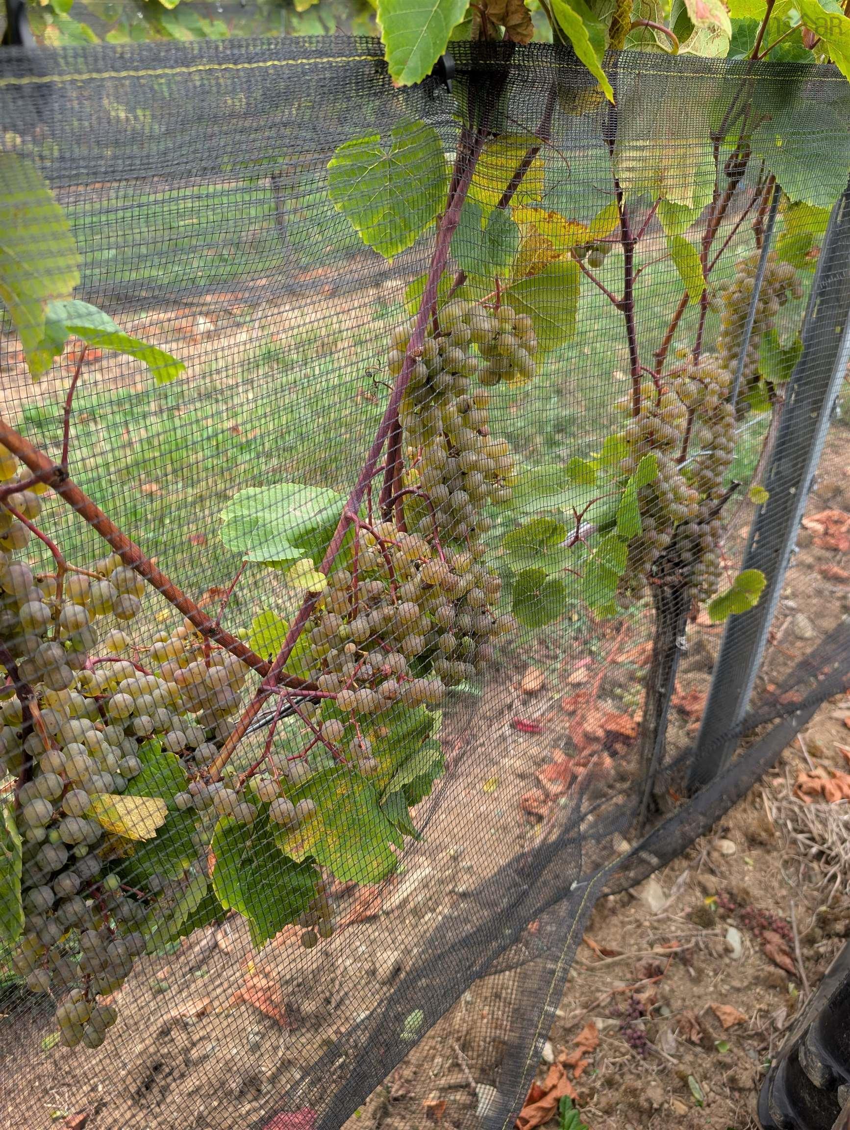 $1,490,000.00: 4113 Highway 340, Carleton