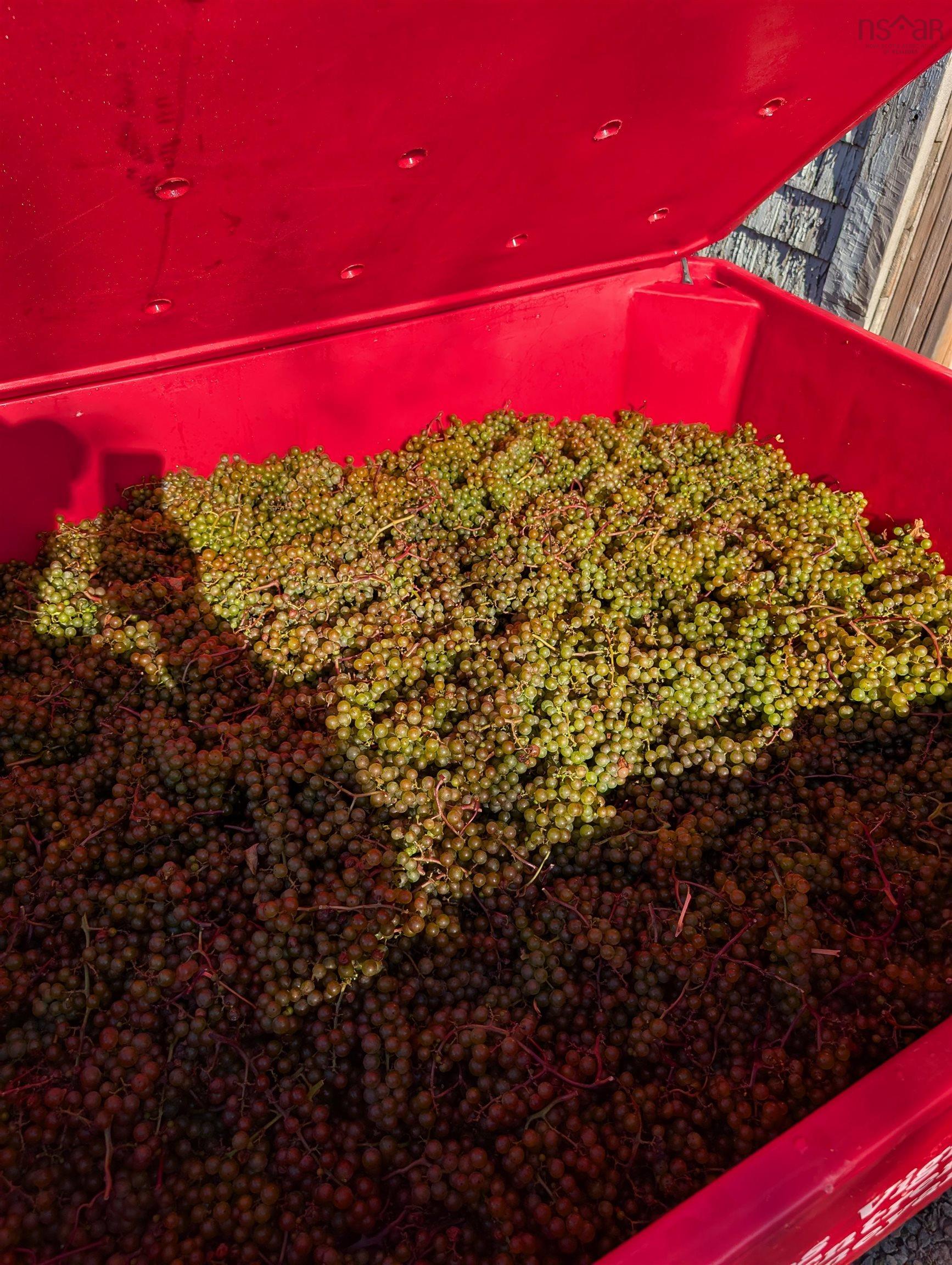 $1,490,000.00: 4113 Highway 340, Carleton