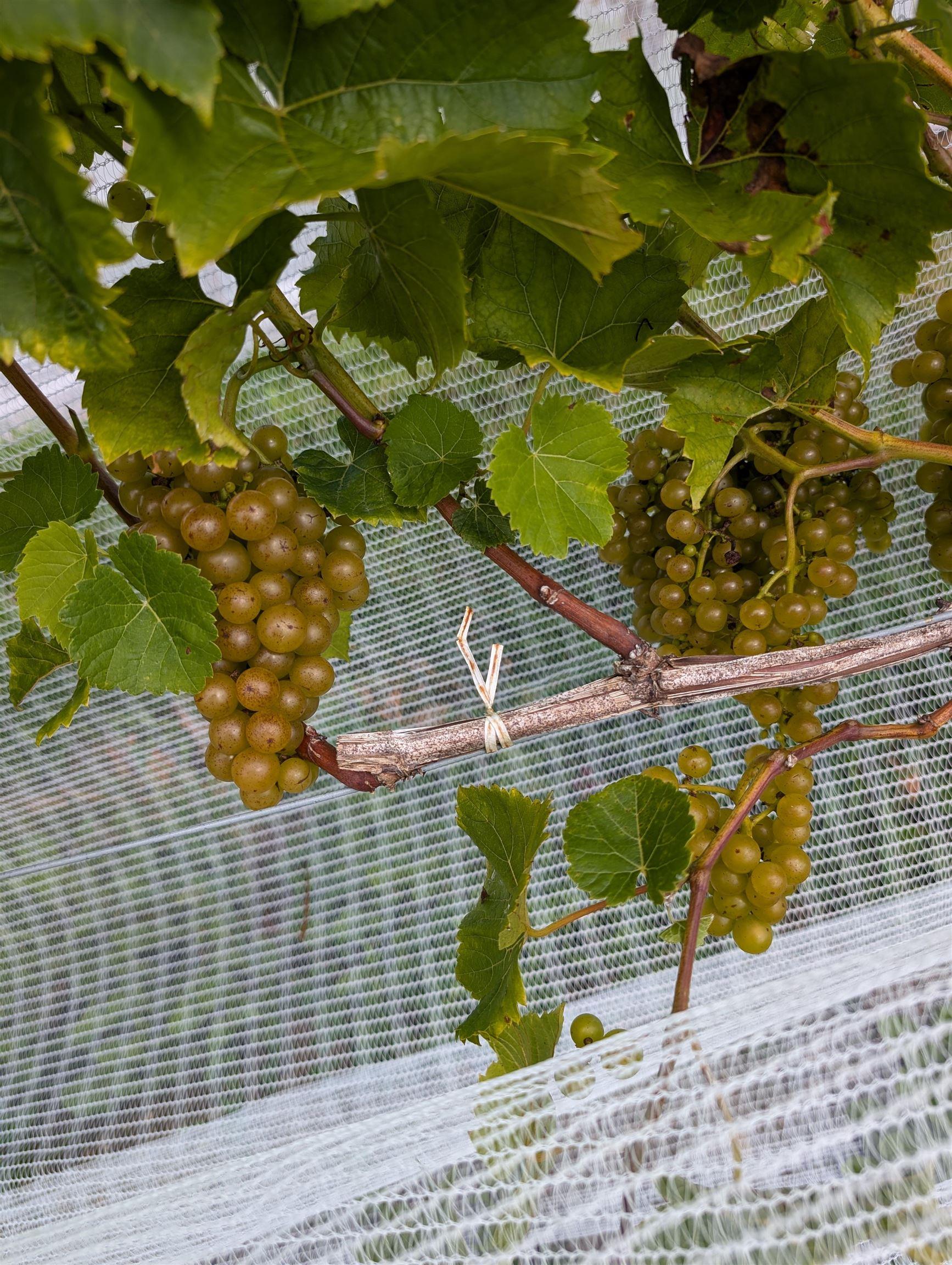 $1,490,000.00: 4113 Highway 340, Carleton