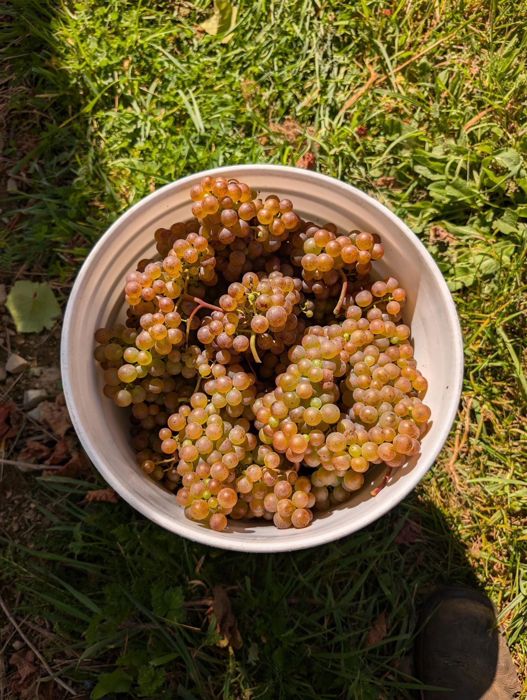 $1,490,000.00: 4113 Highway 340, Carleton