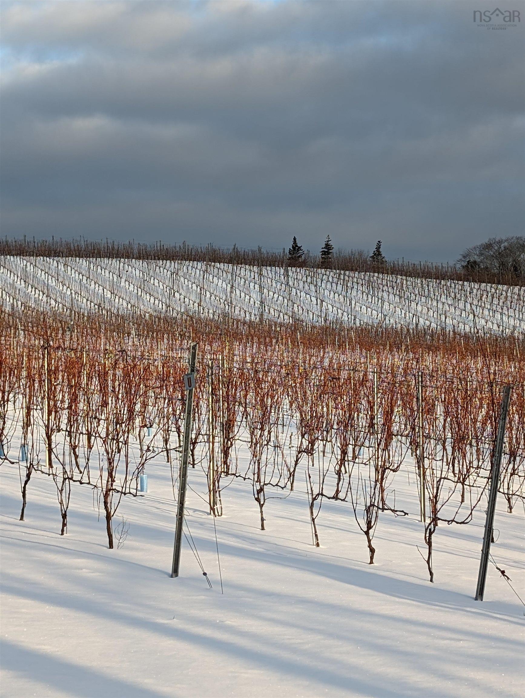 $1,490,000.00: 4113 Highway 340, Carleton