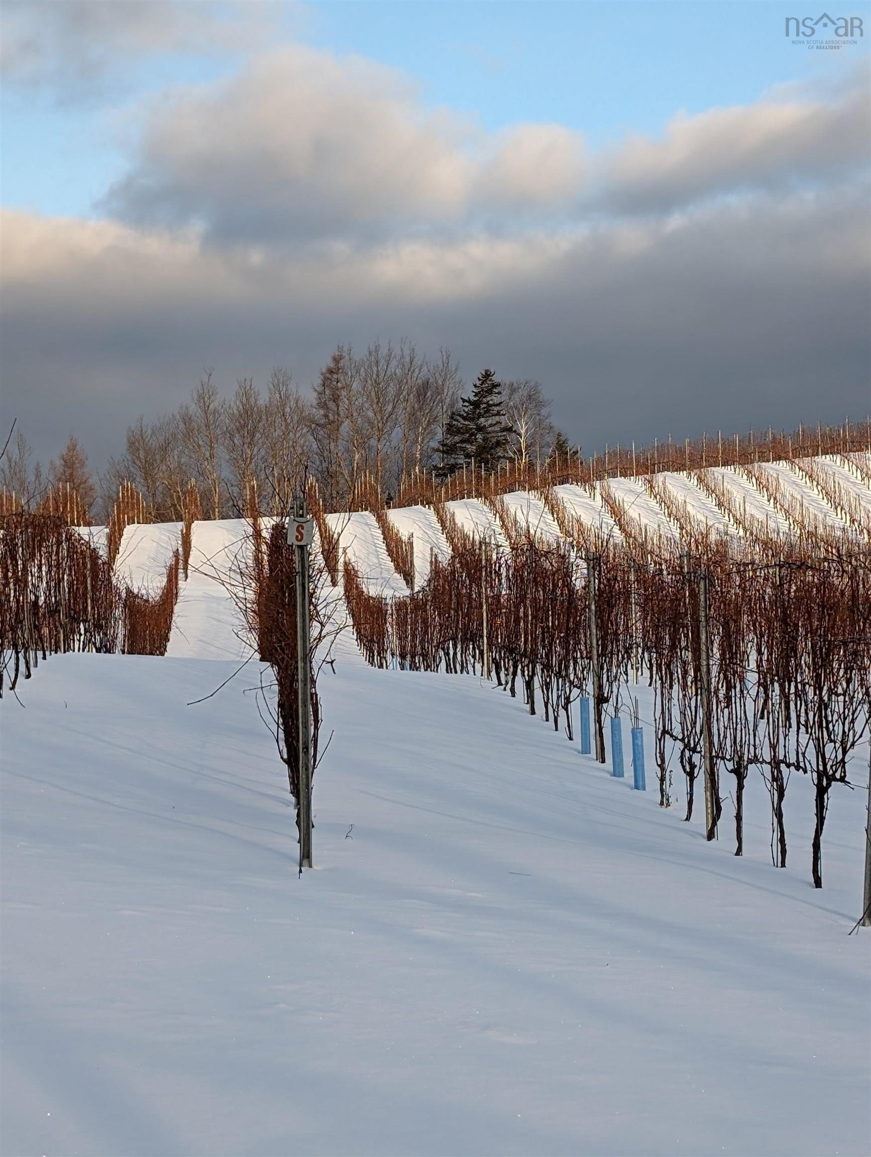 $1,490,000.00: 4113 Highway 340, Carleton