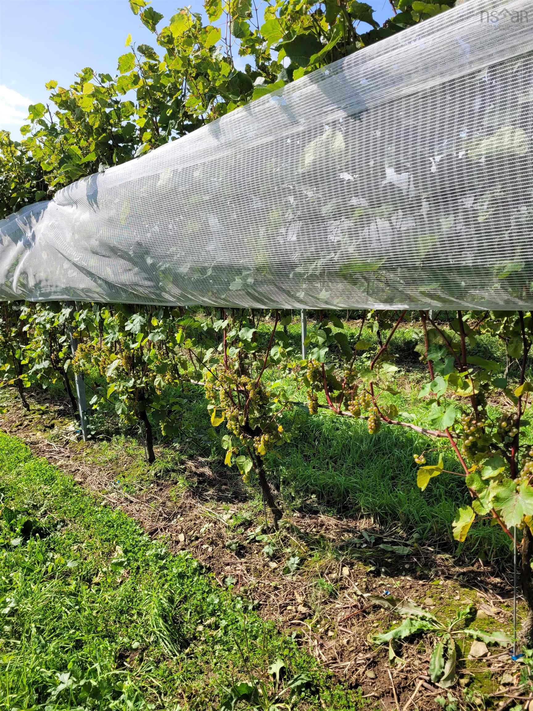 $1,490,000.00: 4113 Highway 340, Carleton