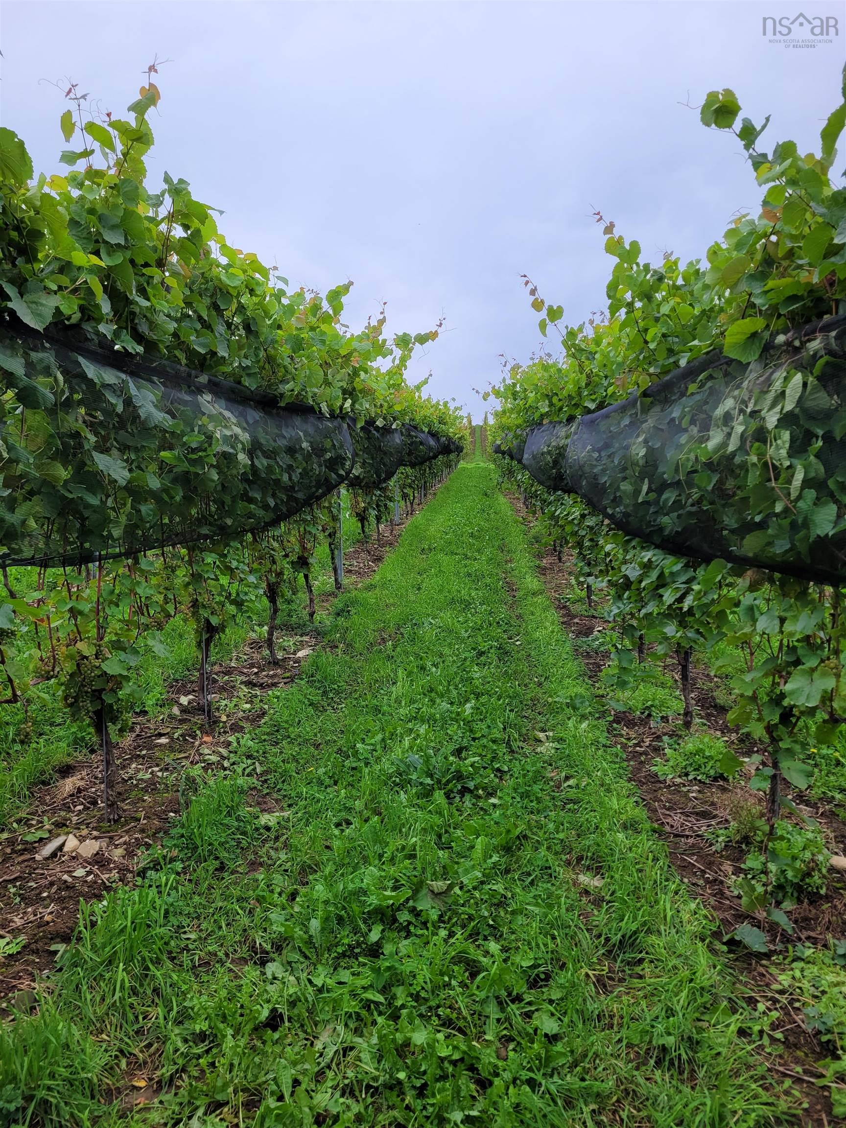 $1,490,000.00: 4113 Highway 340, Carleton