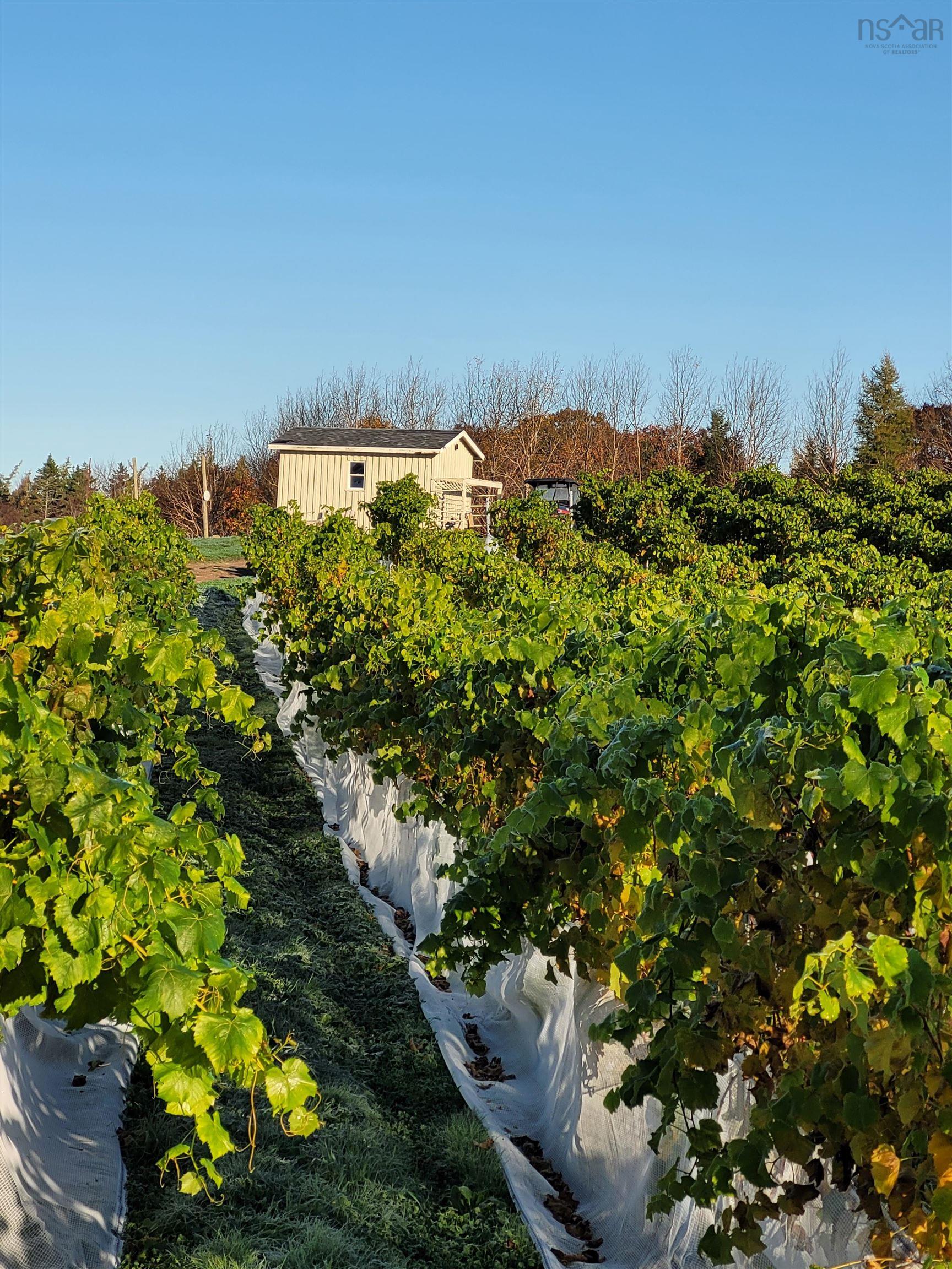 $1,490,000.00: 4113 Highway 340, Carleton