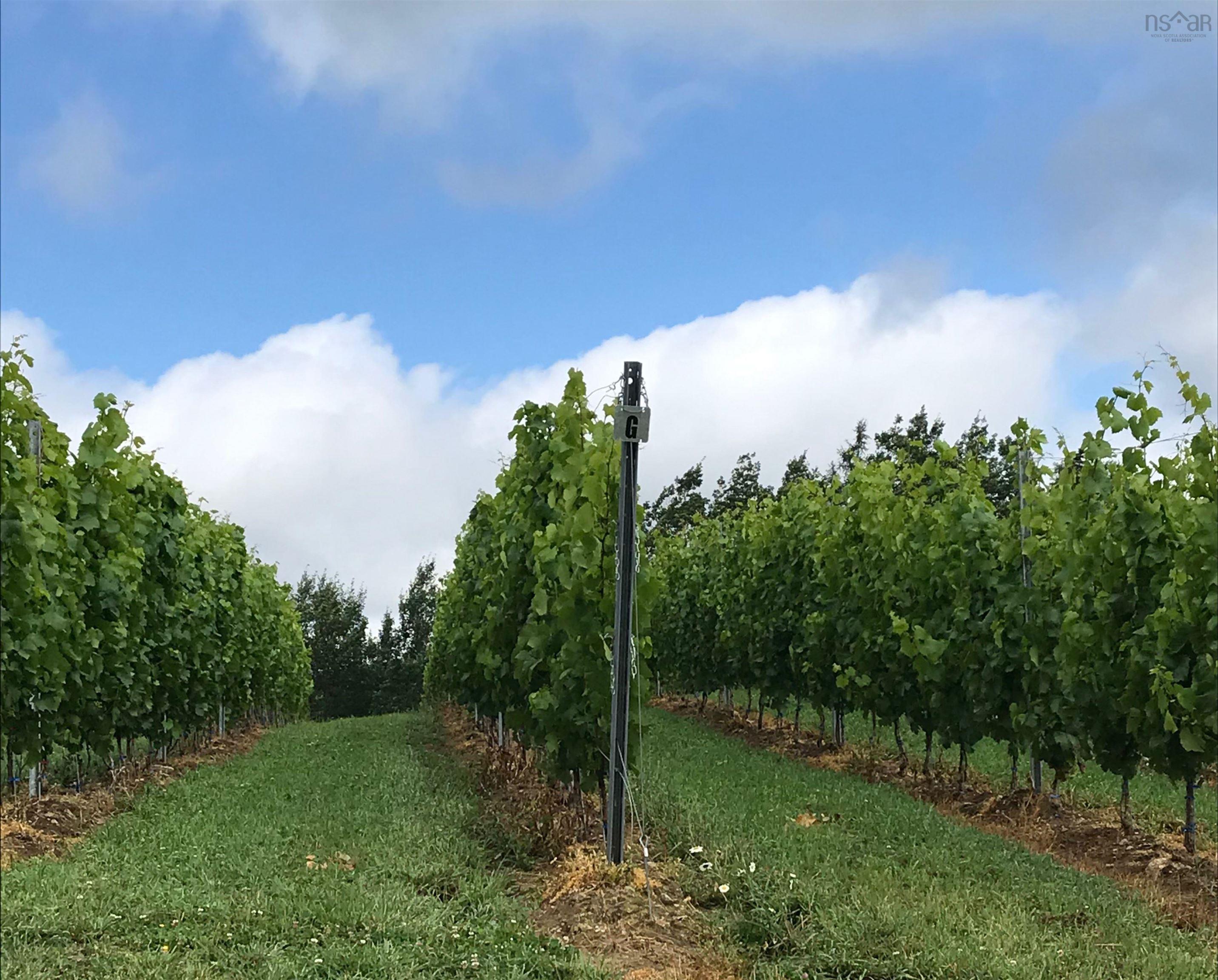 $1,490,000.00: 4113 Highway 340, Carleton