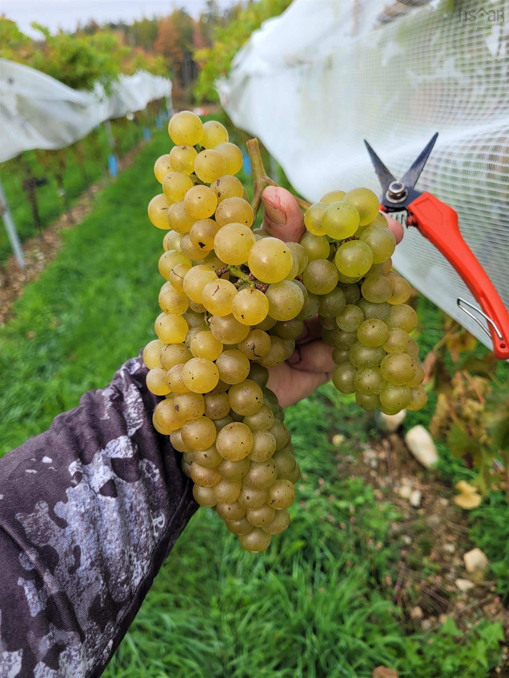 $1,490,000.00: 4113 Highway 340, Carleton