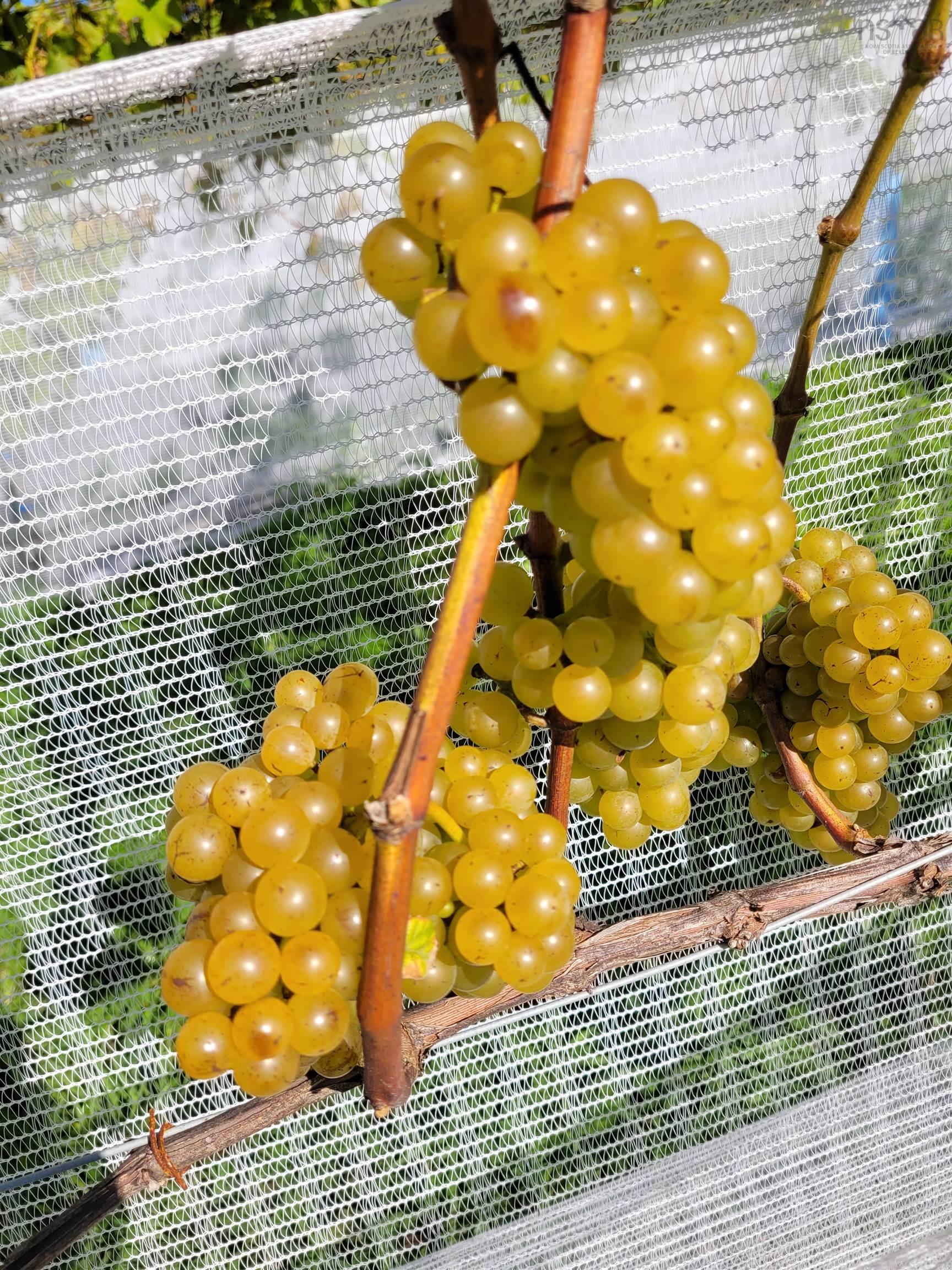 $1,490,000.00: 4113 Highway 340, Carleton