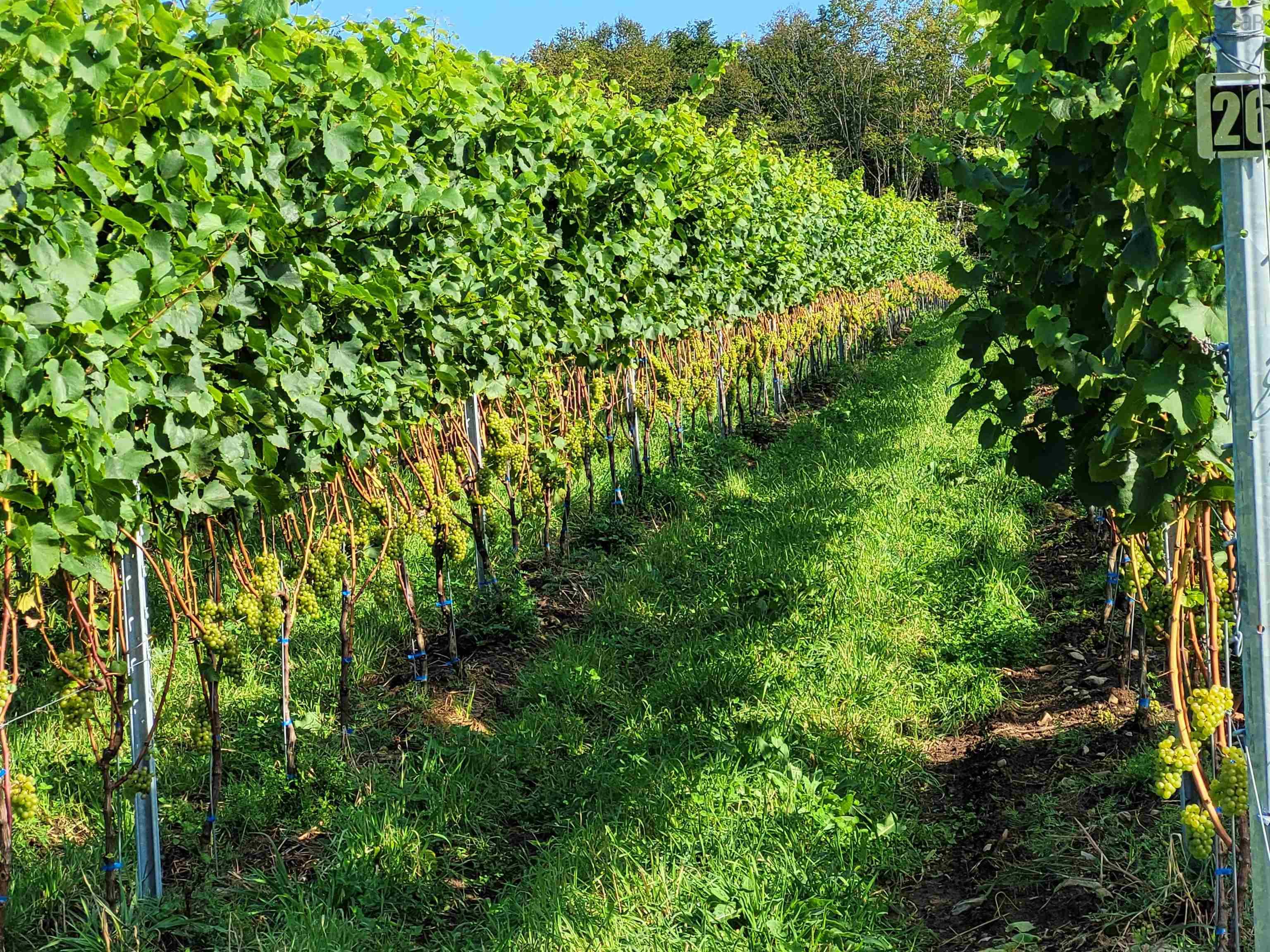 $1,490,000.00: 4113 Highway 340, Carleton