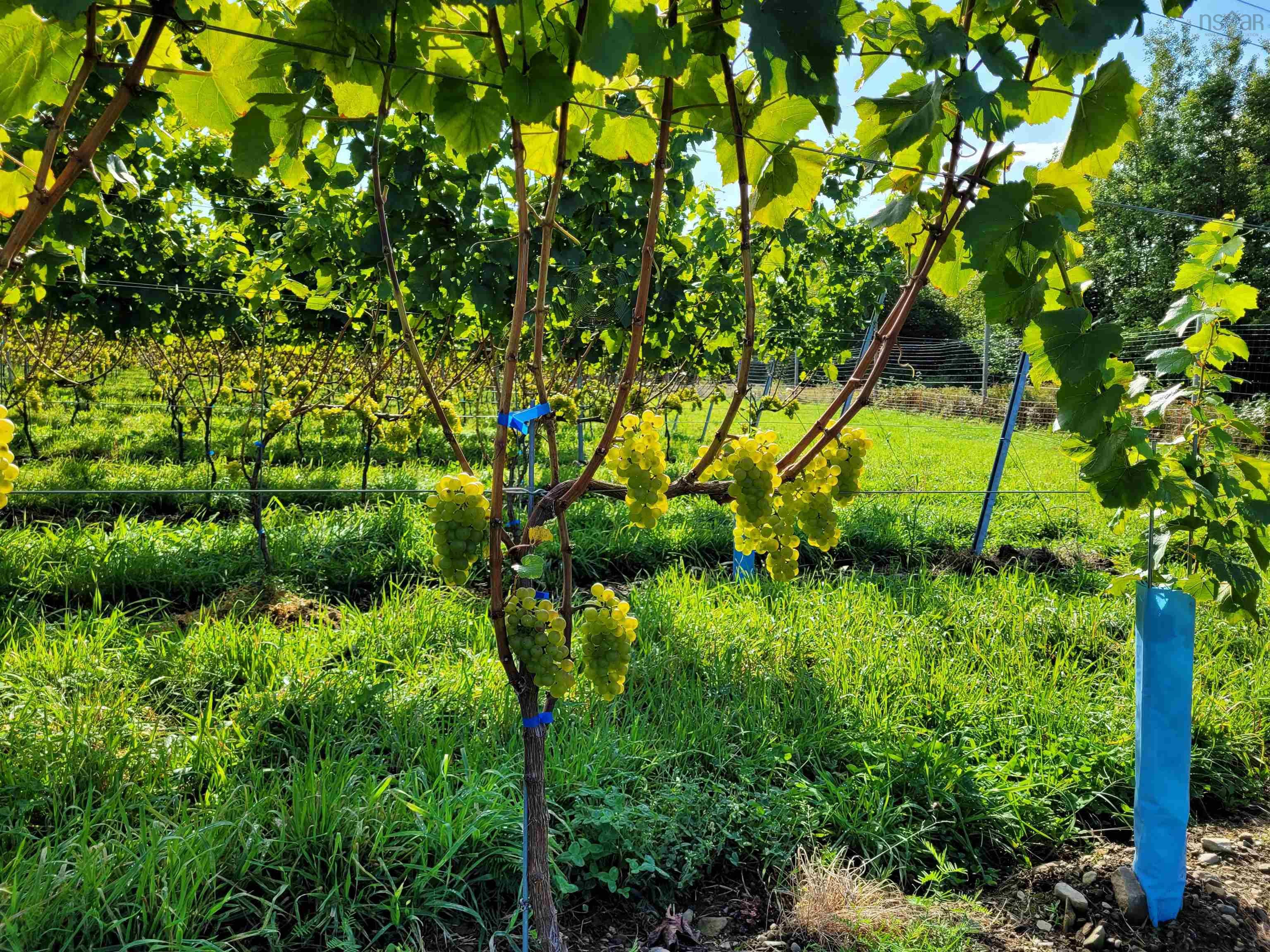 $1,490,000.00: 4113 Highway 340, Carleton