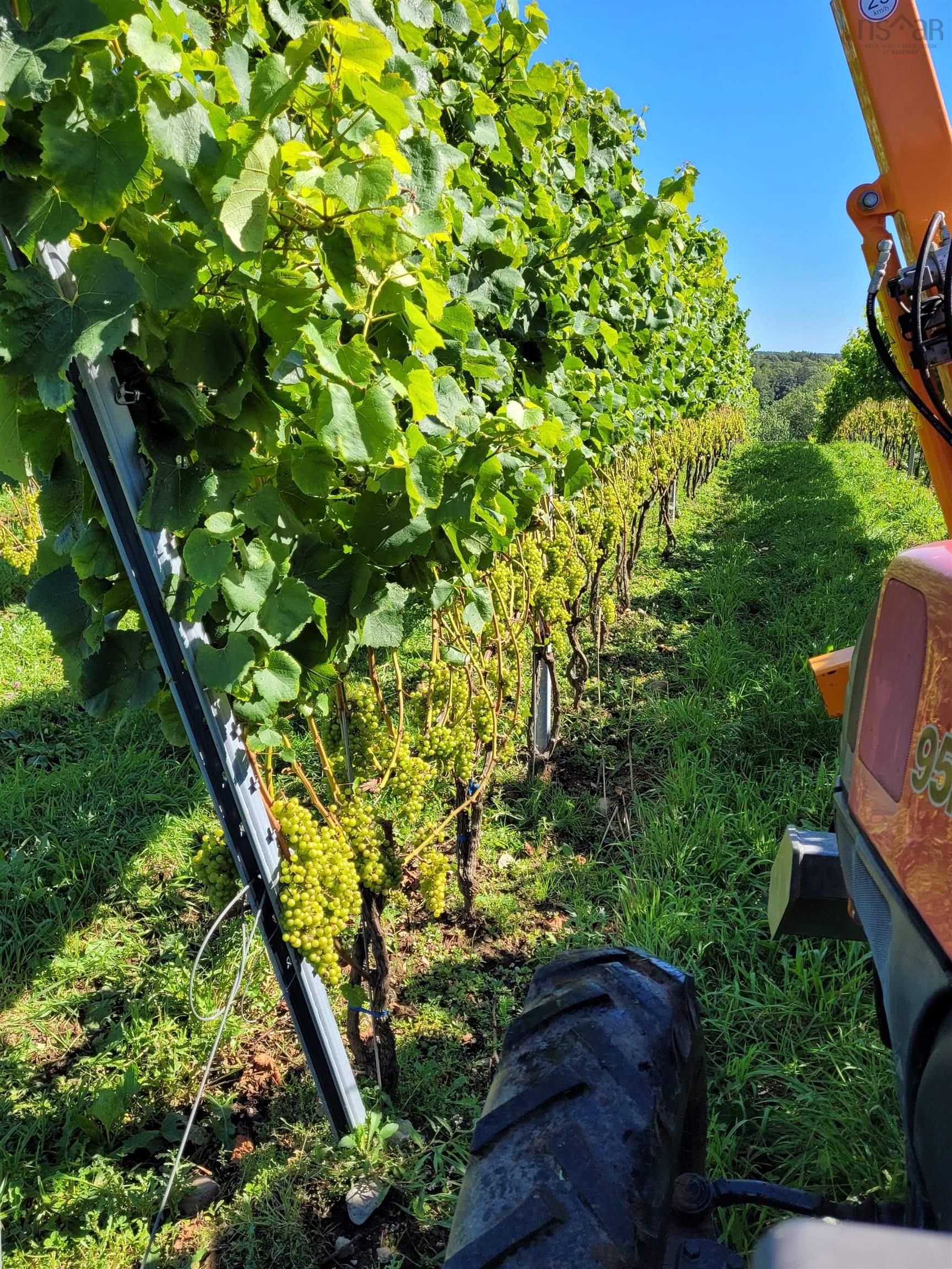 $1,490,000.00: 4113 Highway 340, Carleton