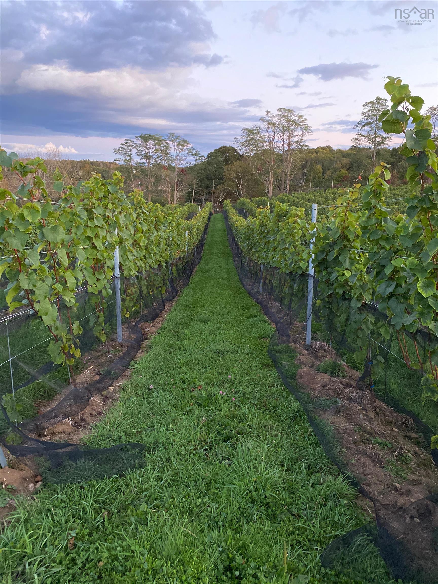 $1,490,000.00: 4113 Highway 340, Carleton