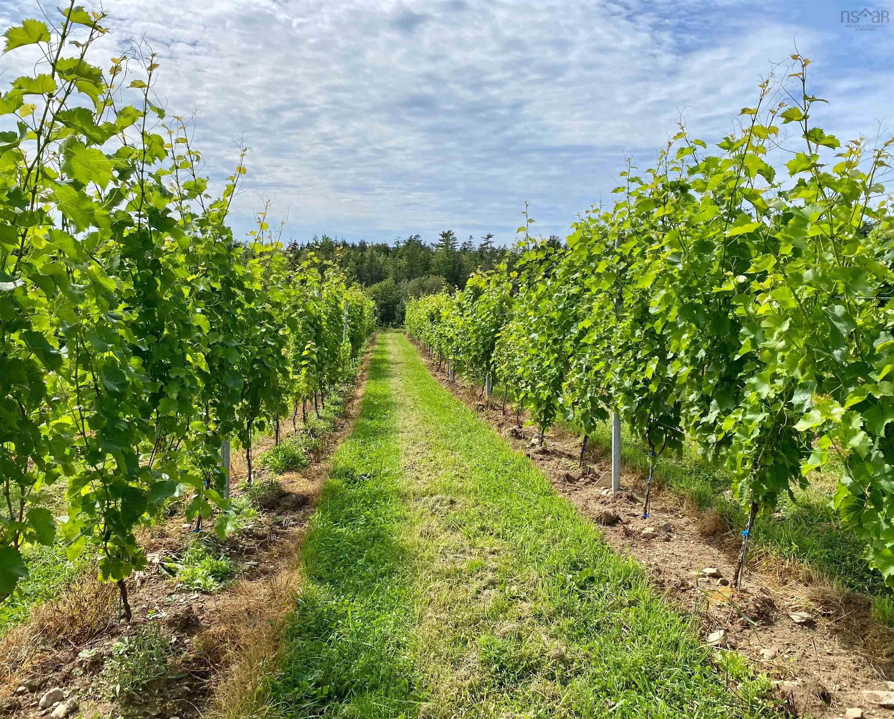 $1,490,000.00: 4113 Highway 340, Carleton