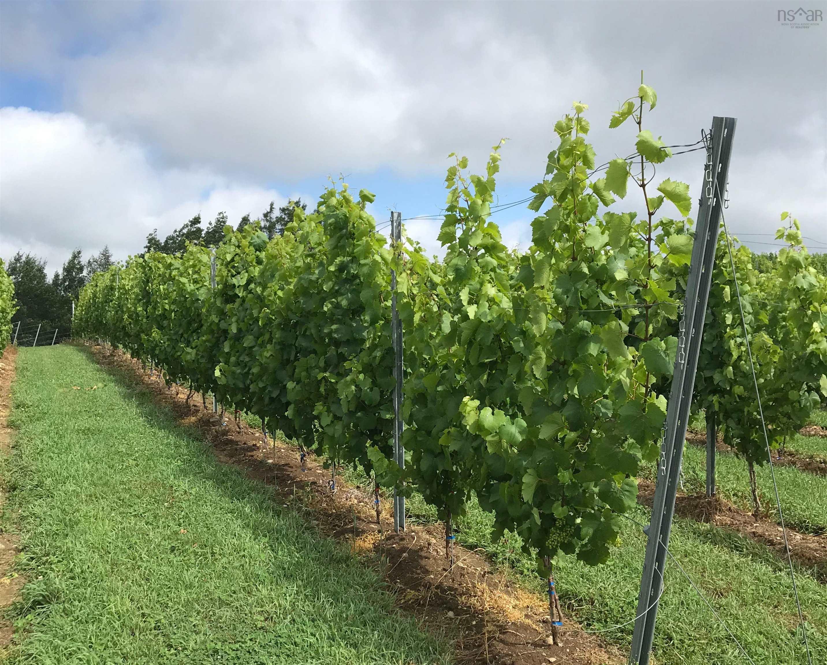 $1,490,000.00: 4113 Highway 340, Carleton