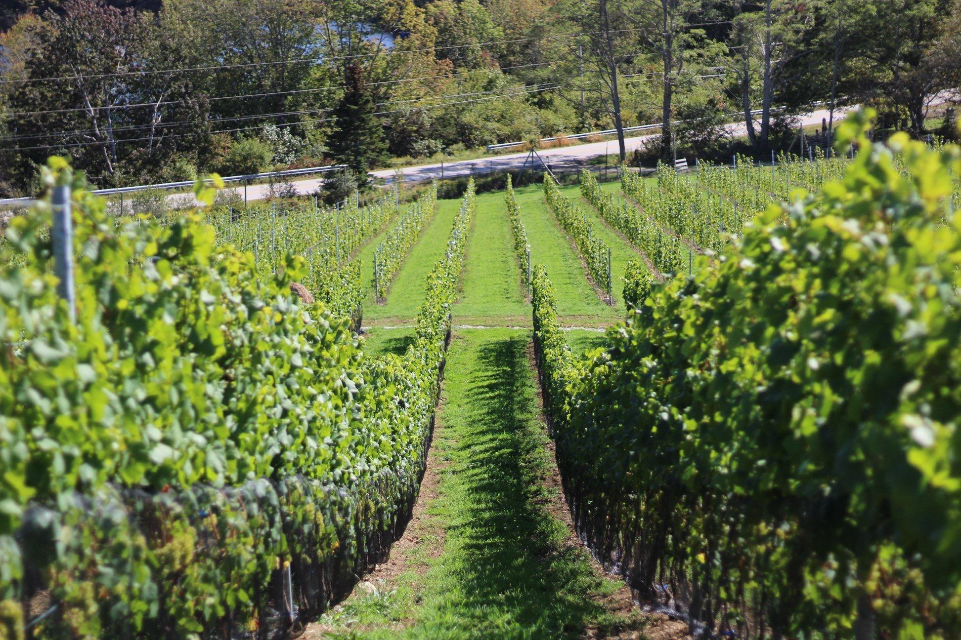 $1,490,000.00: 4113 Highway 340, Carleton