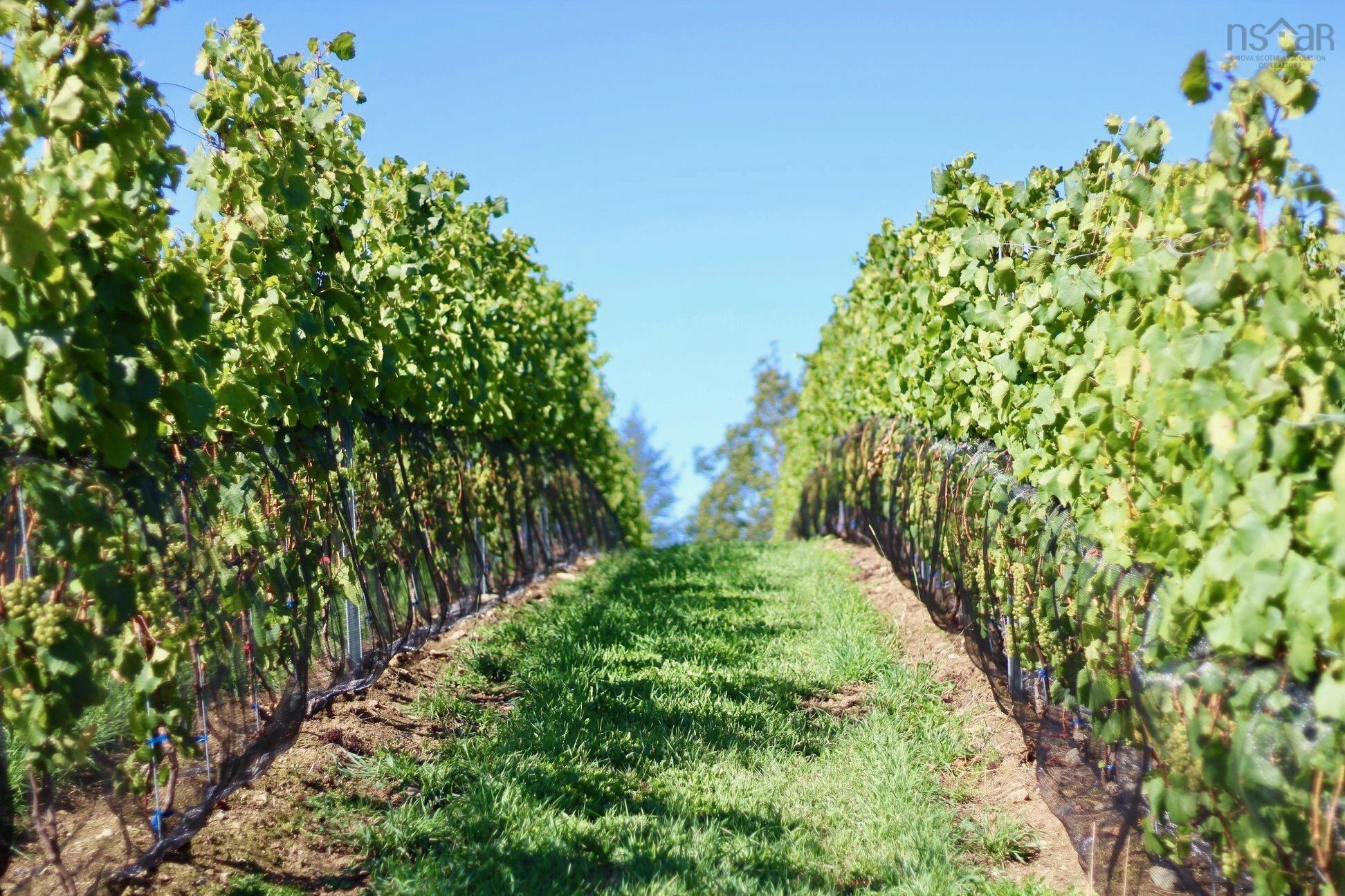 $1,490,000.00: 4113 Highway 340, Carleton