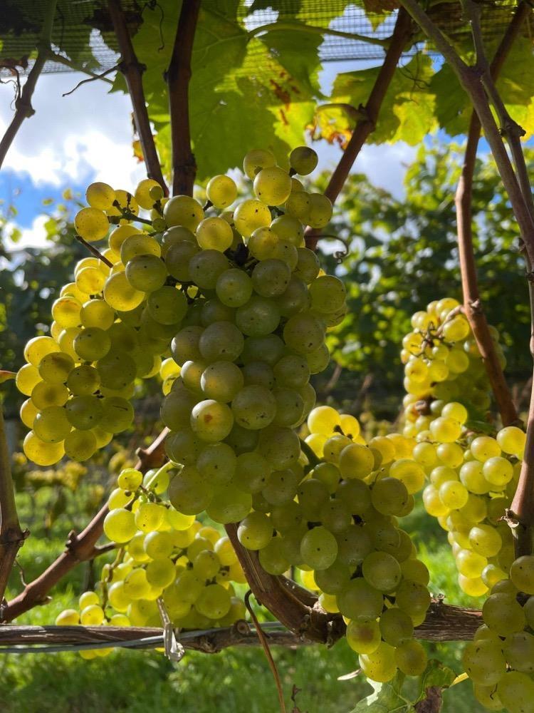 $1,490,000.00: 4113 Highway 340, Carleton