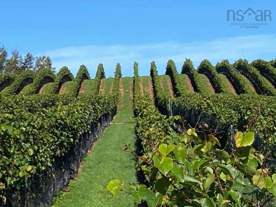 $1,490,000.00: 4113 Highway 340, Carleton