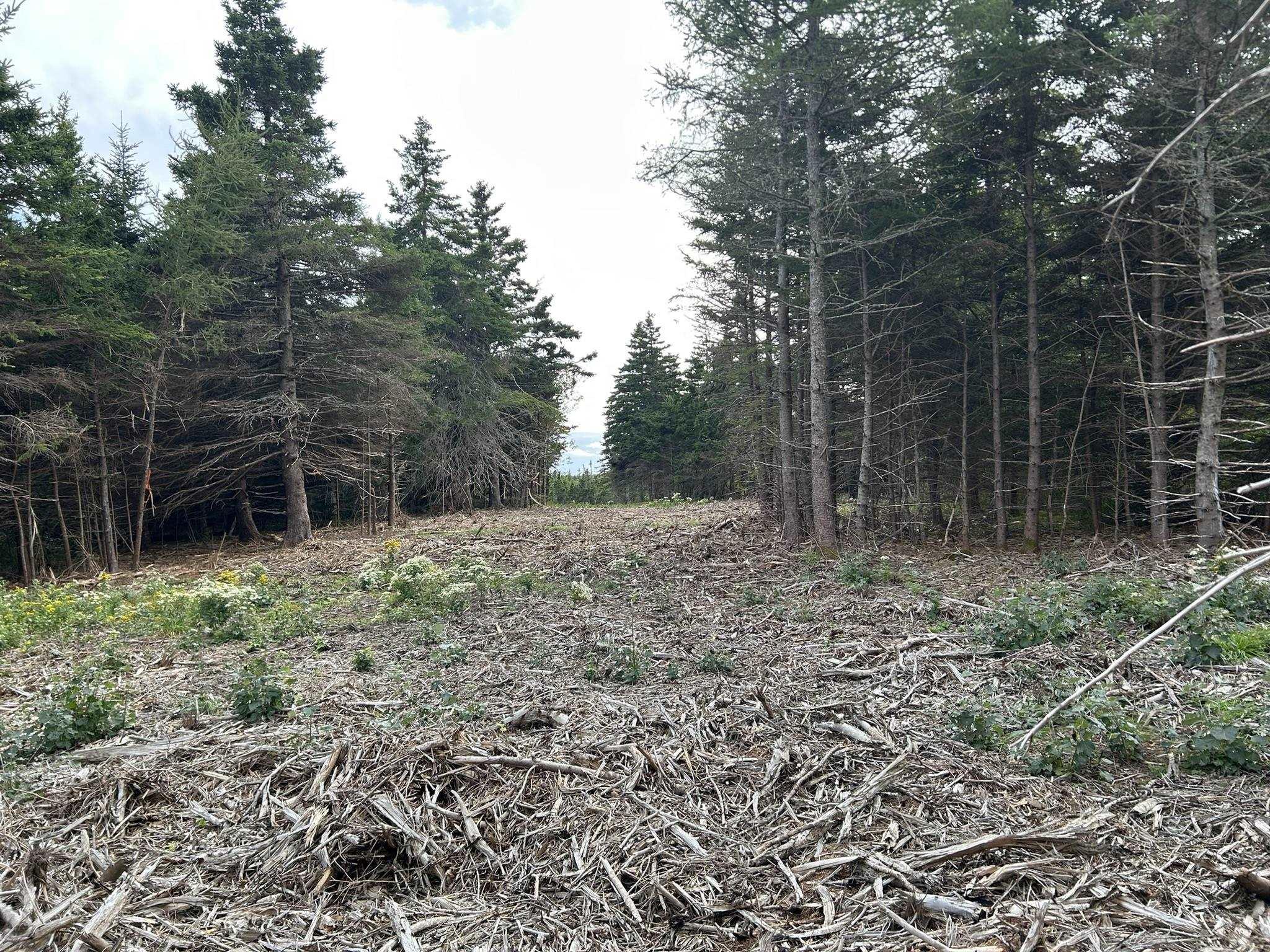 $75,000.00: Highway 16, Hazel Hill