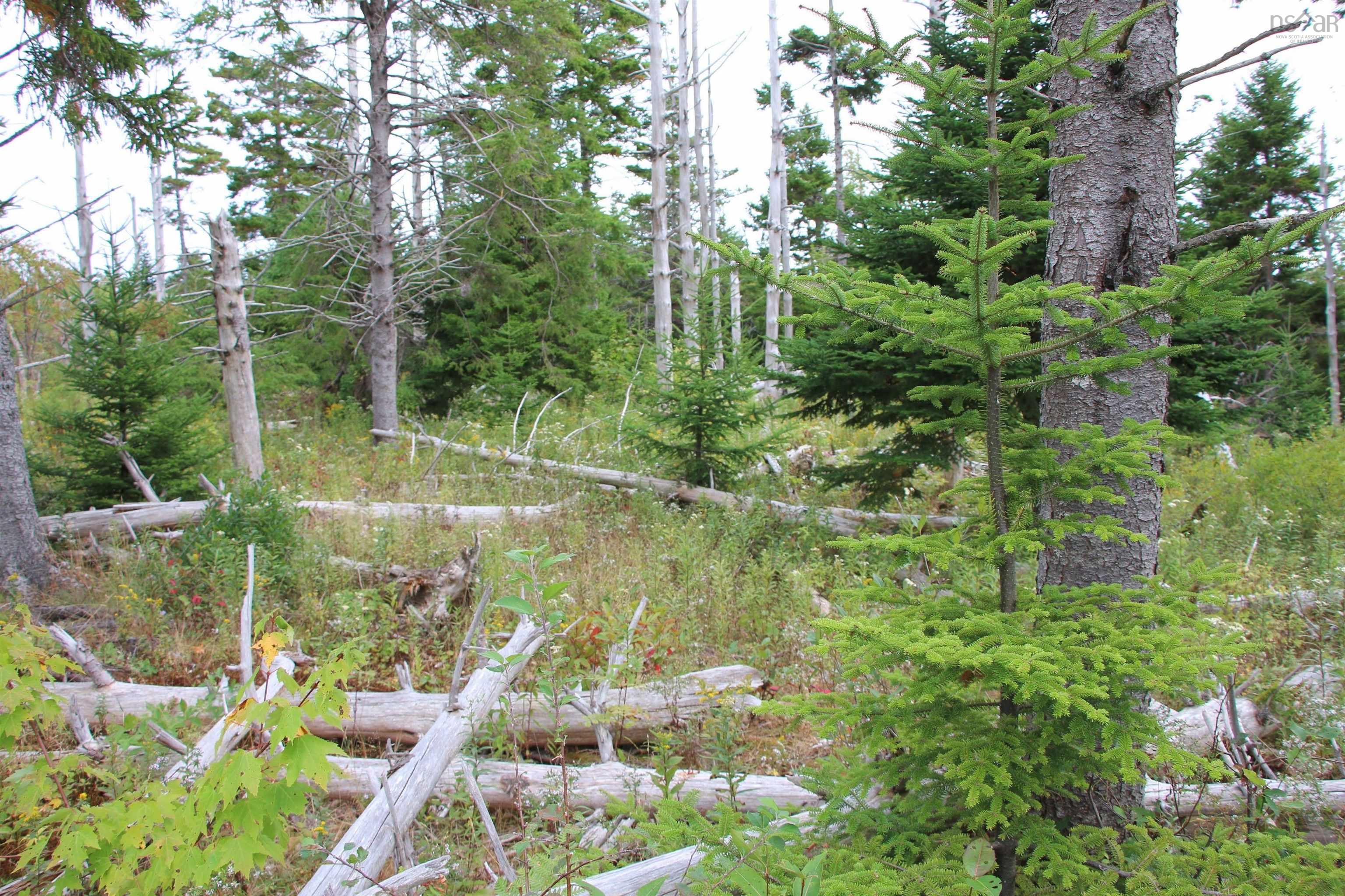 $75,000.00: Highway 16, Hazel Hill