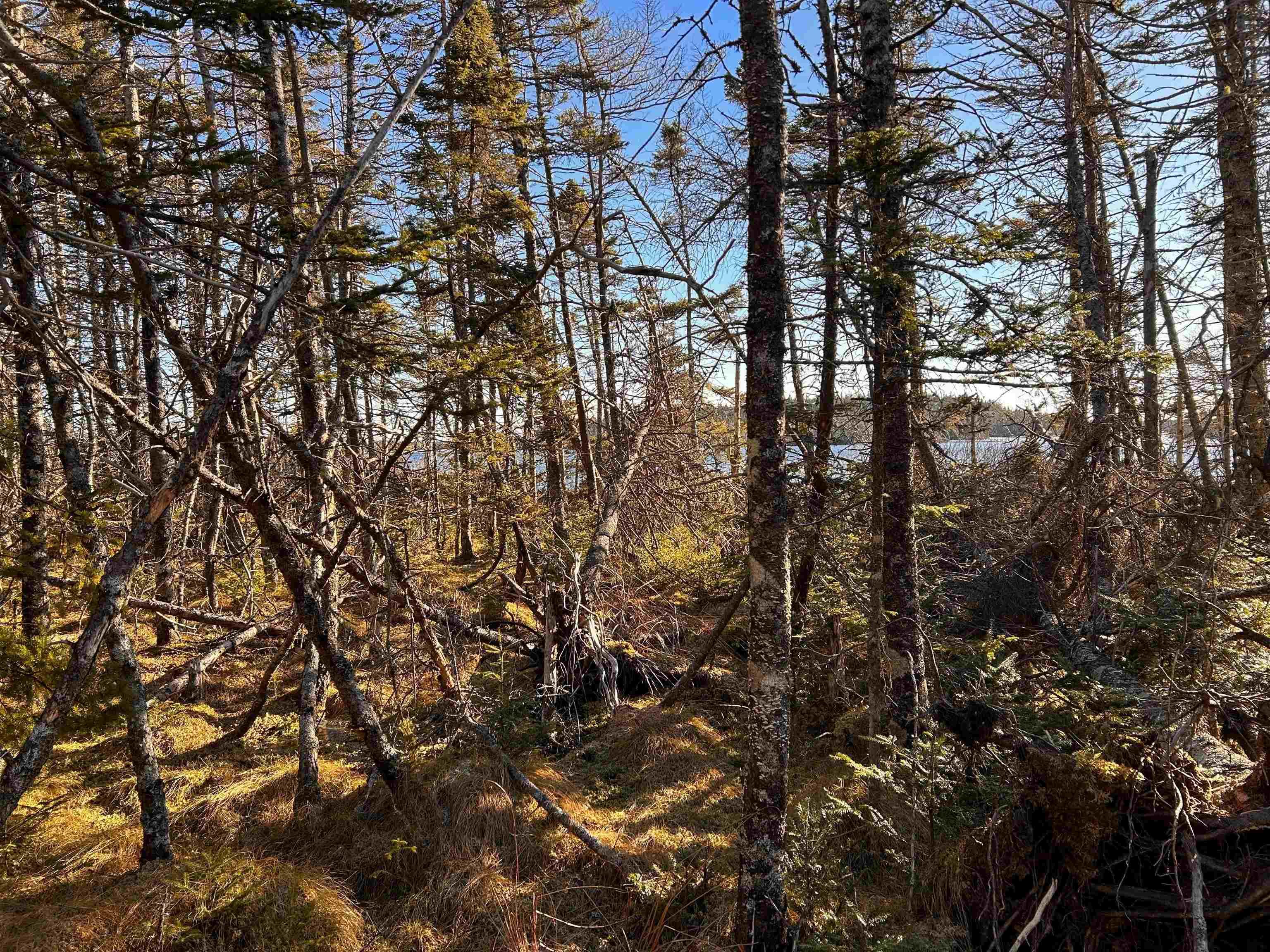 $75,000.00: Highway 16, Hazel Hill