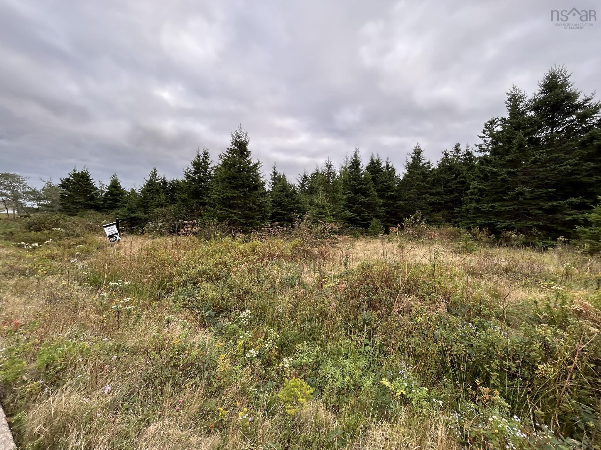 $75,000.00: Highway 16, Hazel Hill