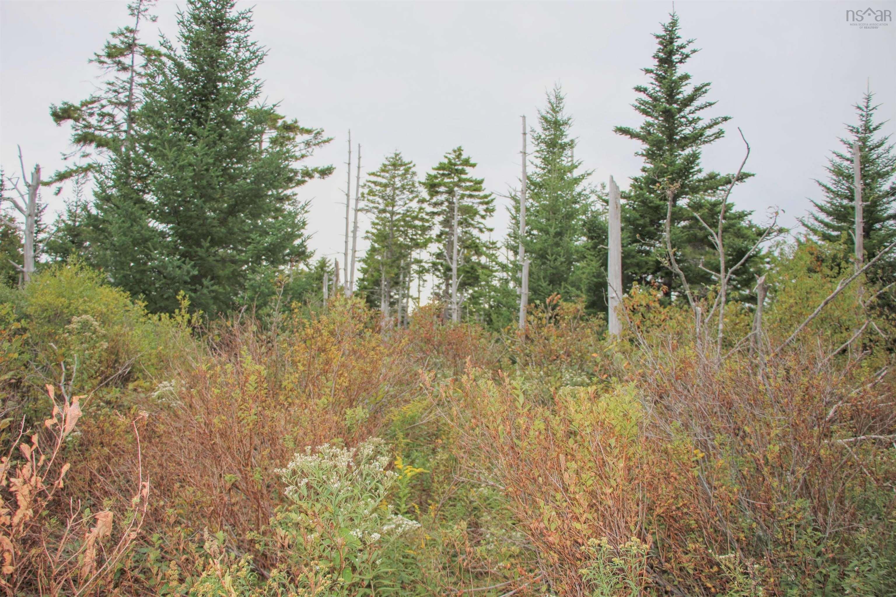 $75,000.00: Highway 16, Hazel Hill