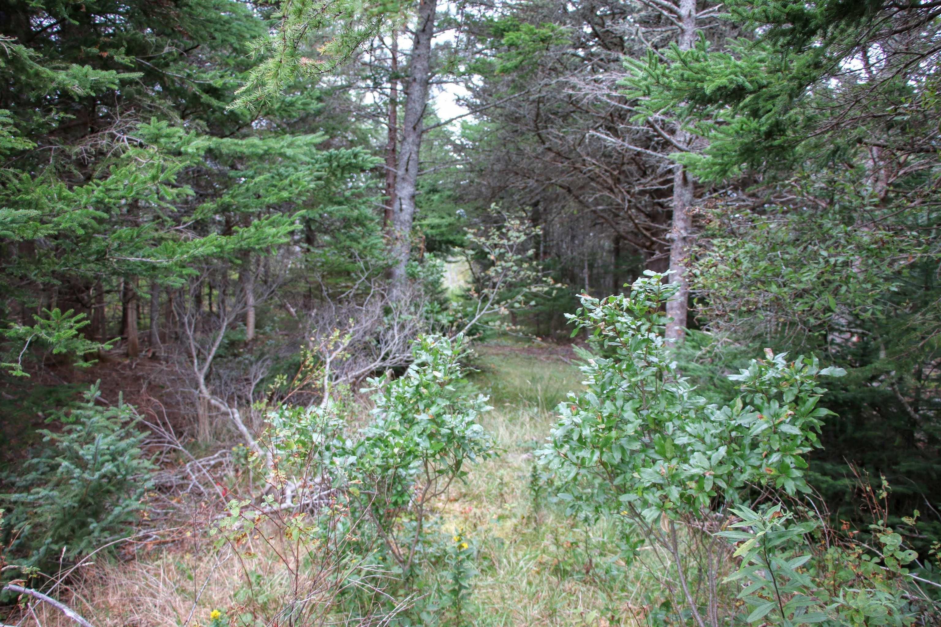 $75,000.00: Highway 16, Hazel Hill