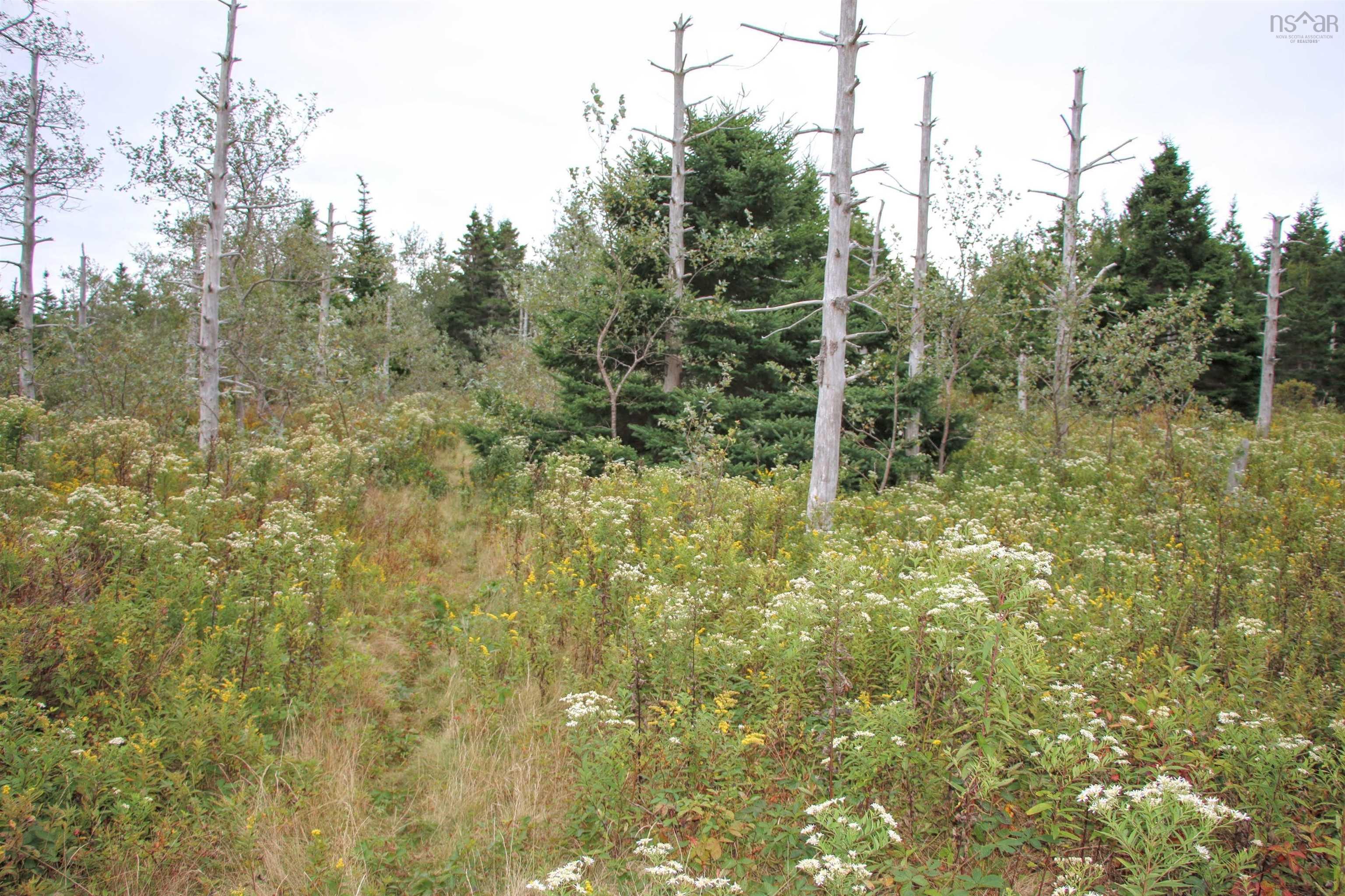 $75,000.00: Highway 16, Hazel Hill