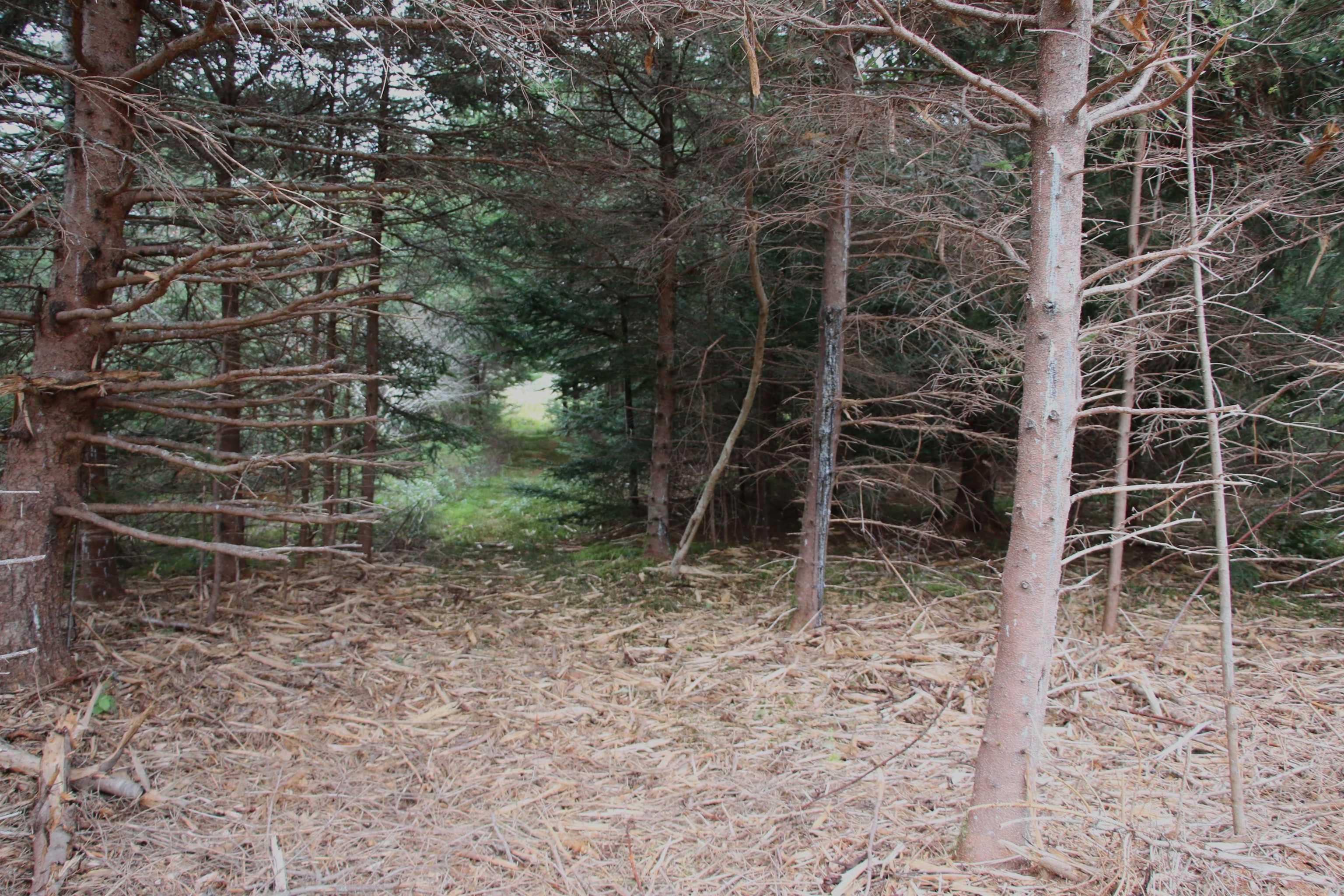 $75,000.00: Highway 16, Hazel Hill