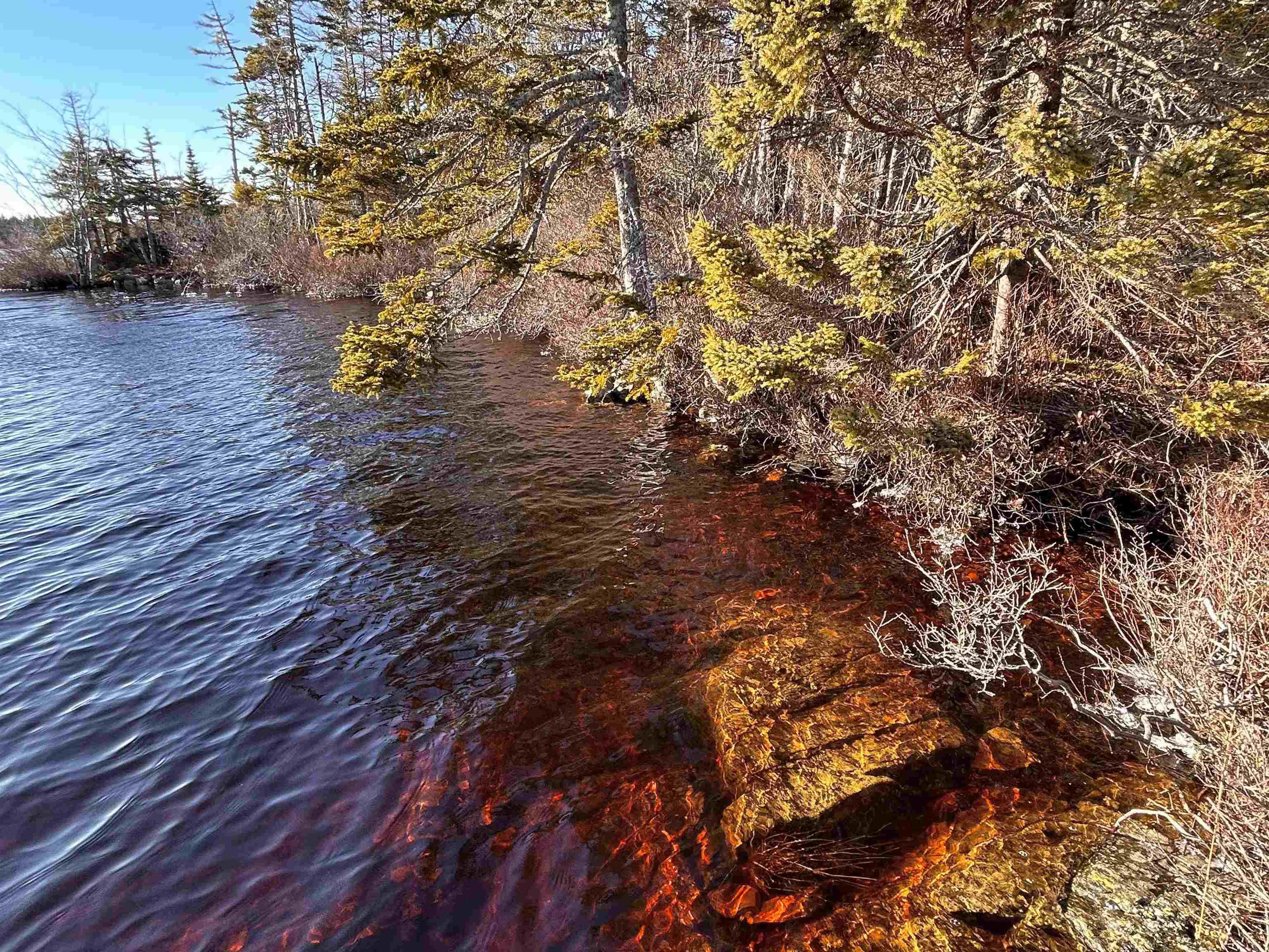 $75,000.00: Highway 16, Hazel Hill