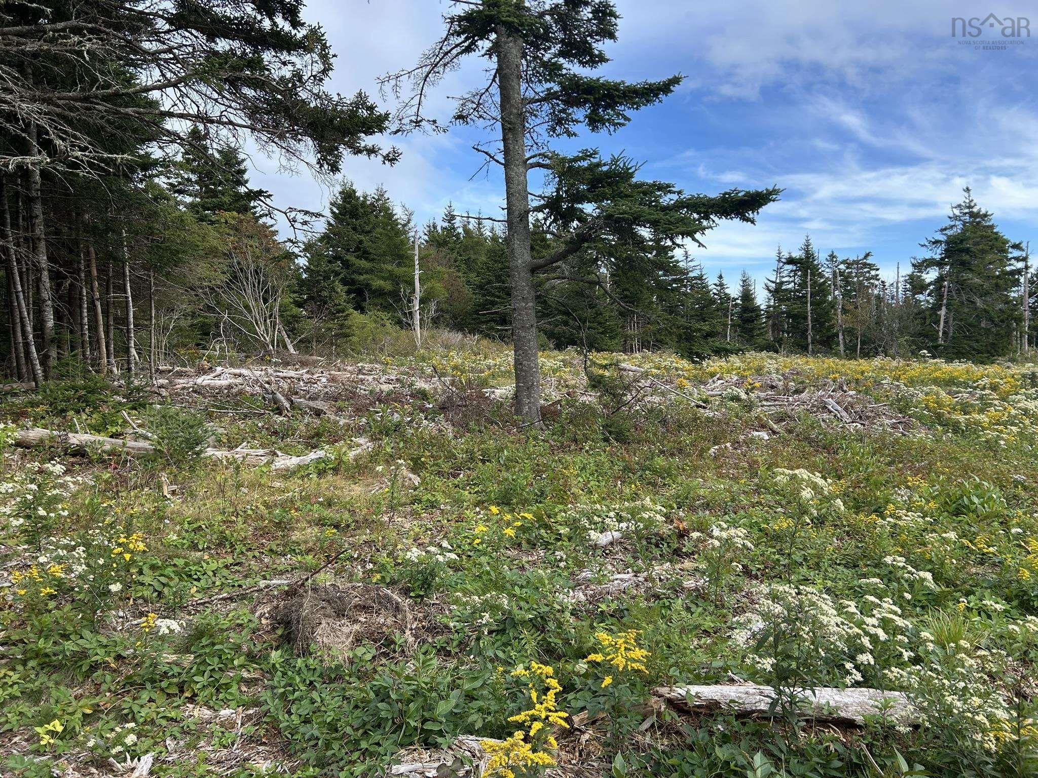 $75,000.00: Highway 16, Hazel Hill