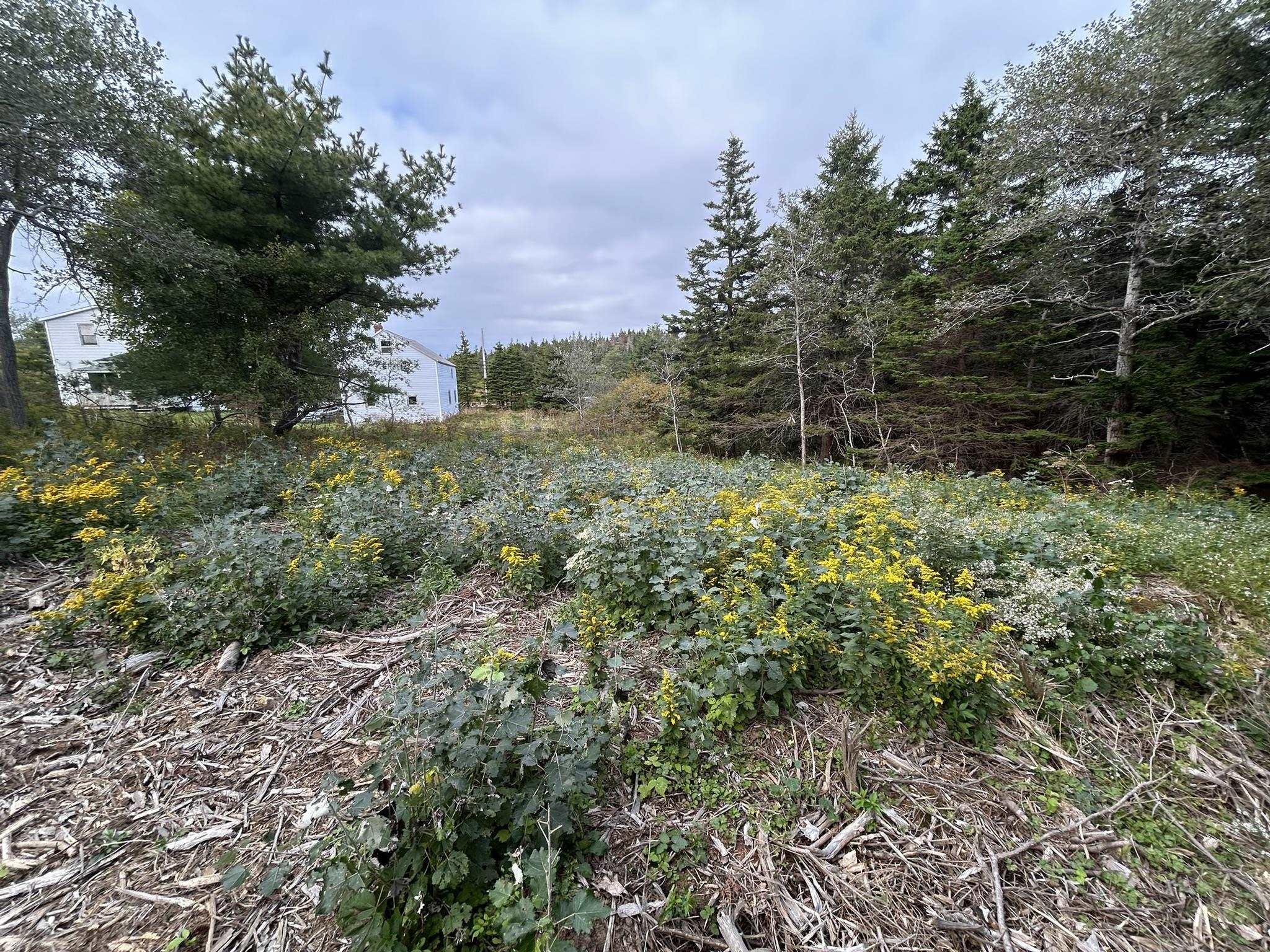 $75,000.00: Highway 16, Hazel Hill