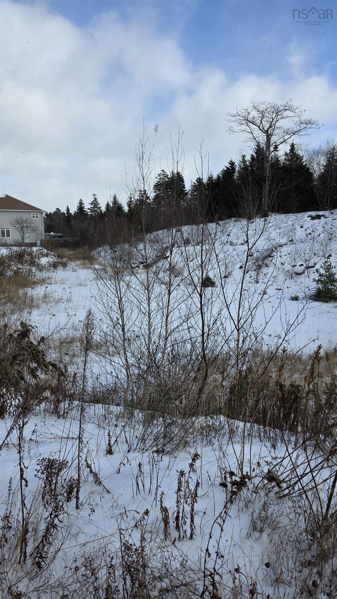 Sf13 16 Lauderdale Court, Halifax, NS (MLS 202529203)